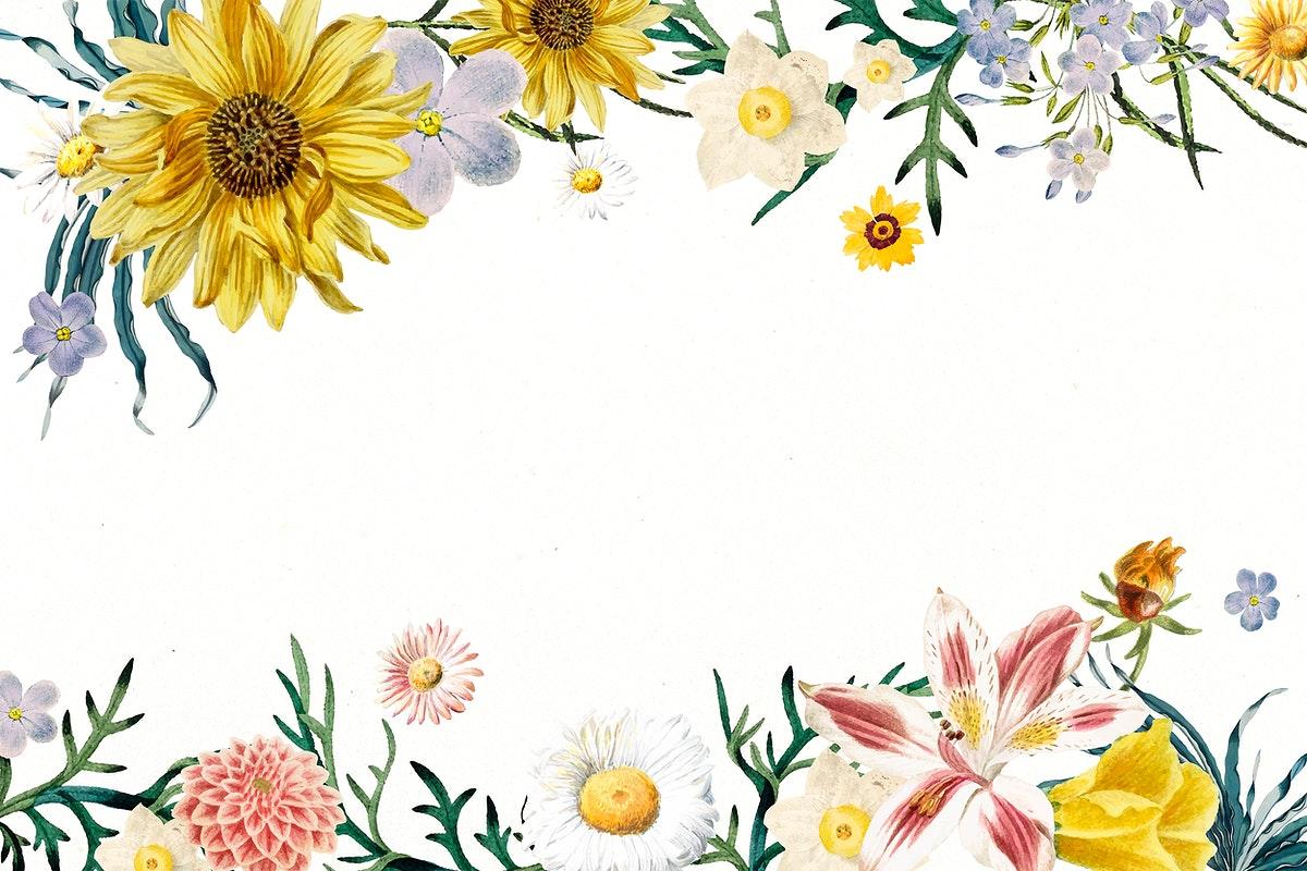 Floral Border Wallpapers Top Free Floral Border Backgrounds