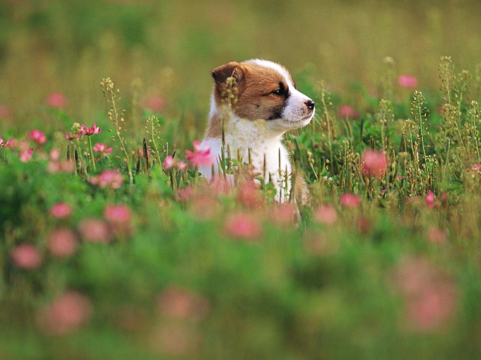 Cute Outdoor Wallpapers Top Free Cute Outdoor Backgrounds WallpaperAccess