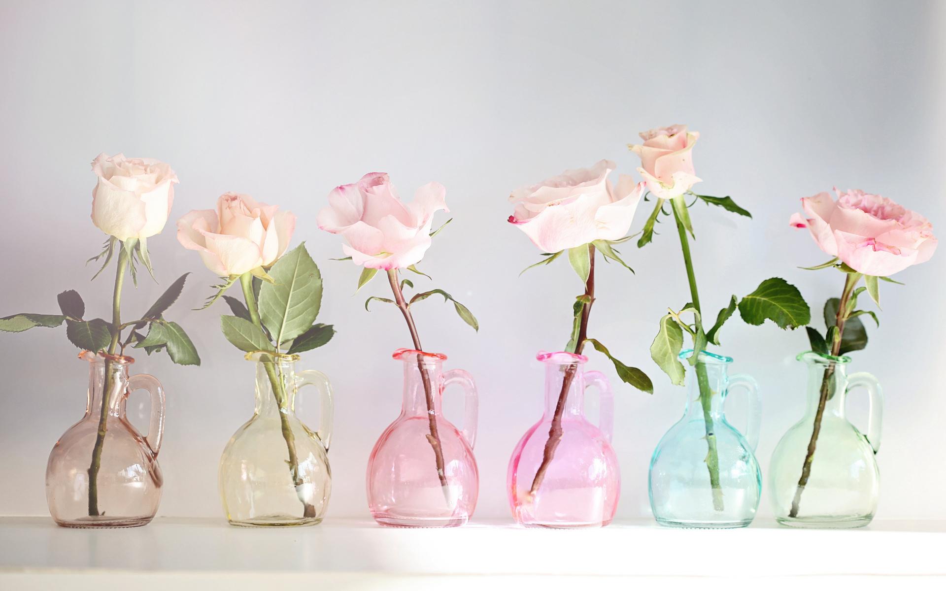 Flower Vase Desktop Wallpapers Top Free Flower Vase Desktop