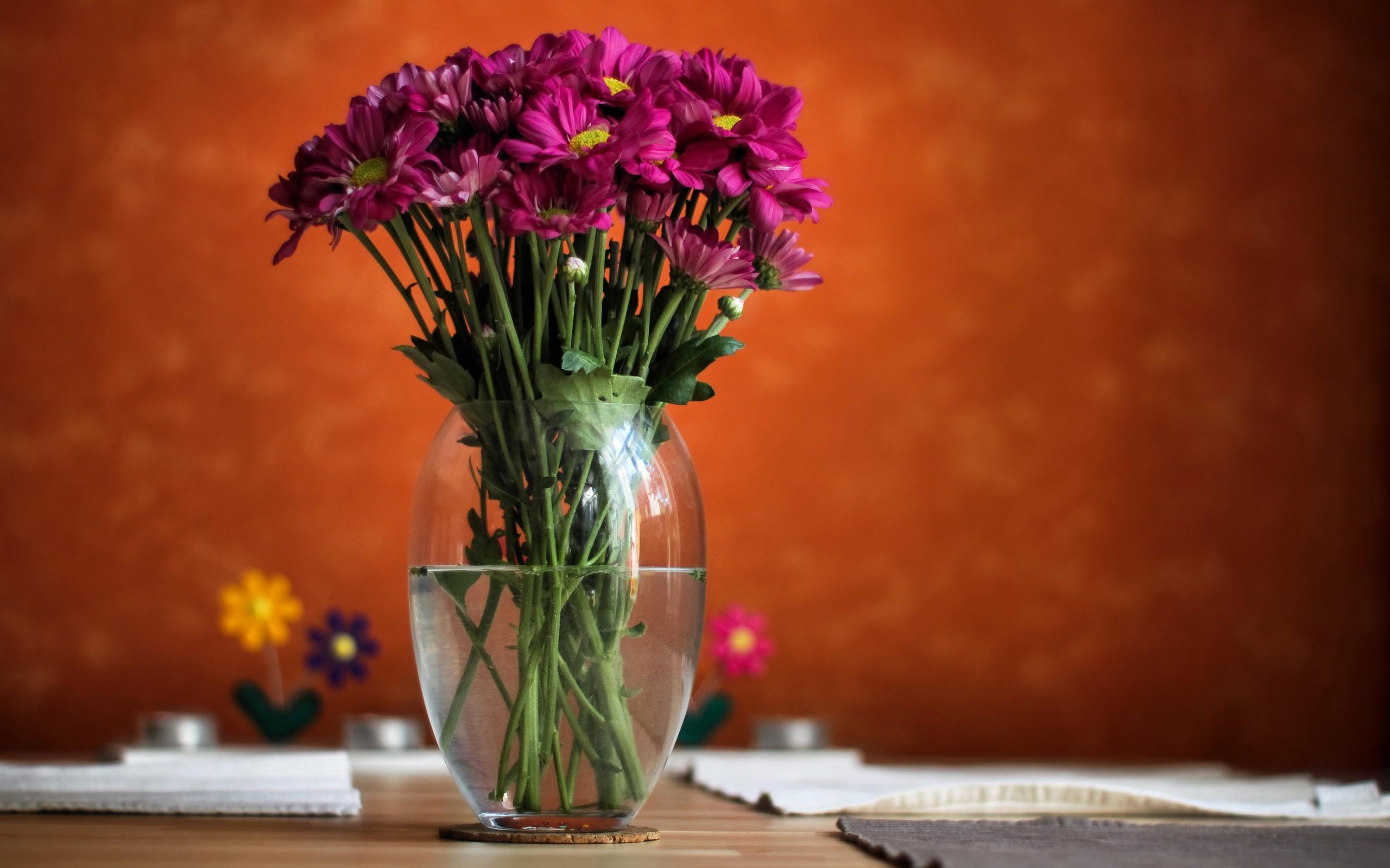 Flower Vase Desktop Wallpapers Top Free Flower Vase Desktop