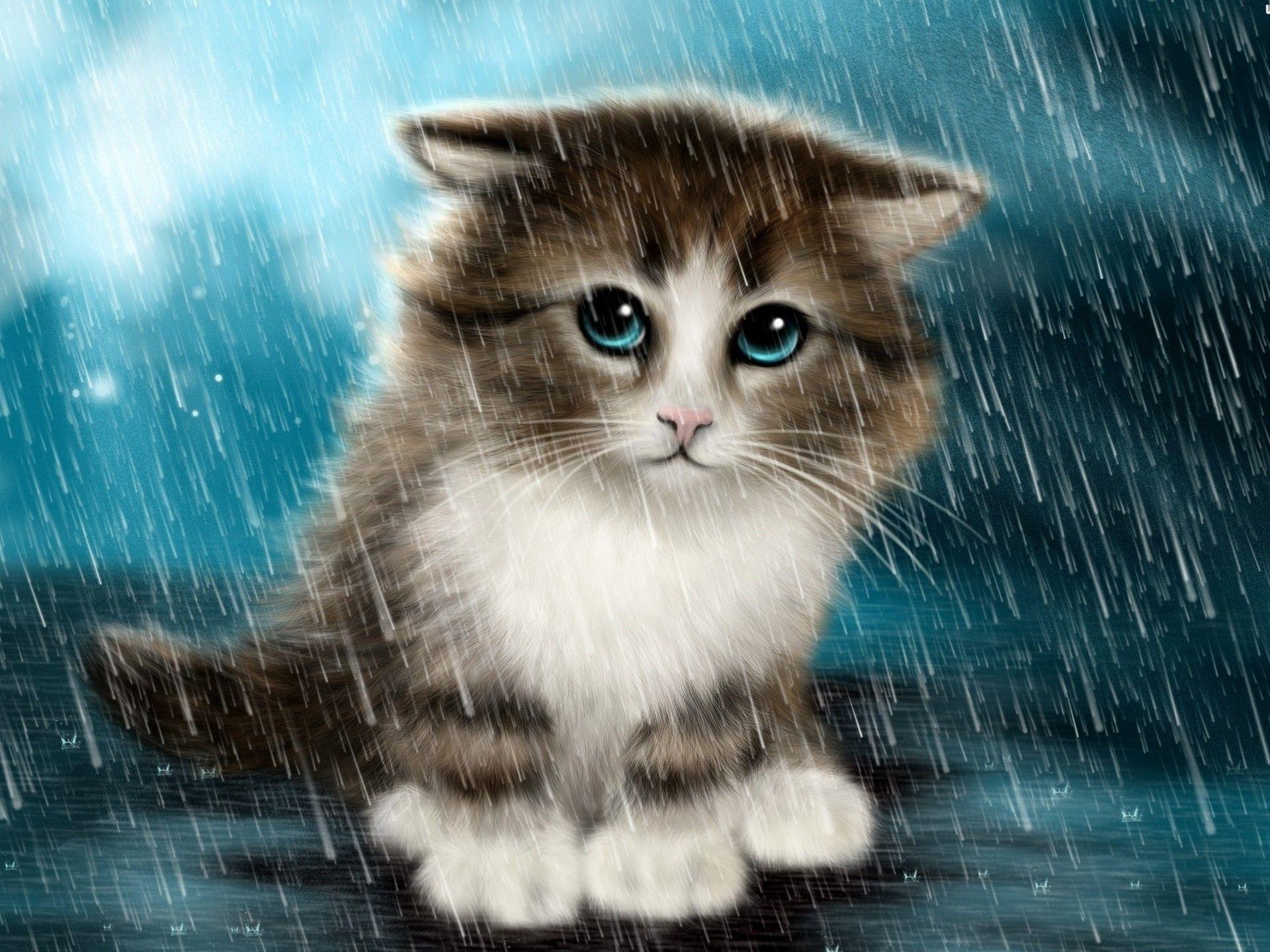 Animals Rain Wallpapers Top Free Animals Rain Backgrounds