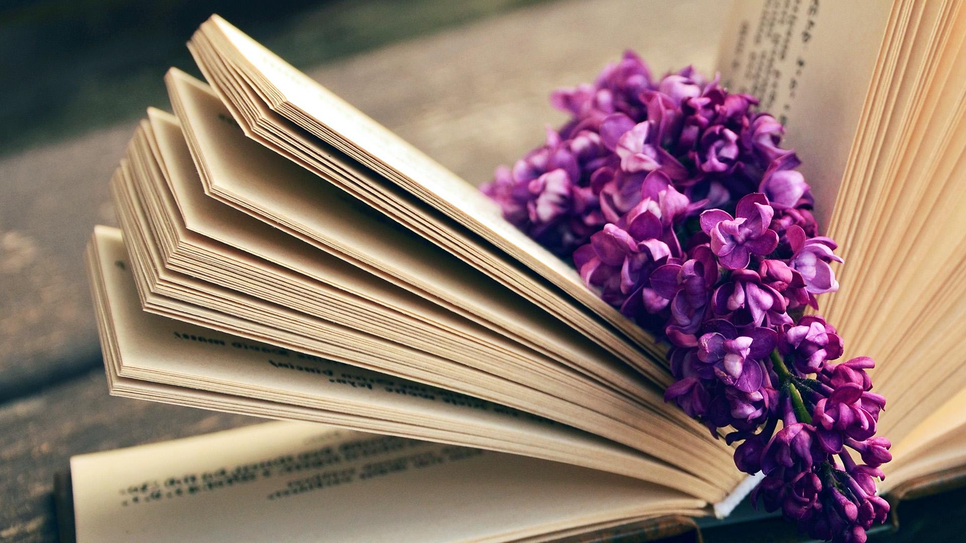Flowers Books PC Wallpapers Top Free Flowers Books PC Backgrounds