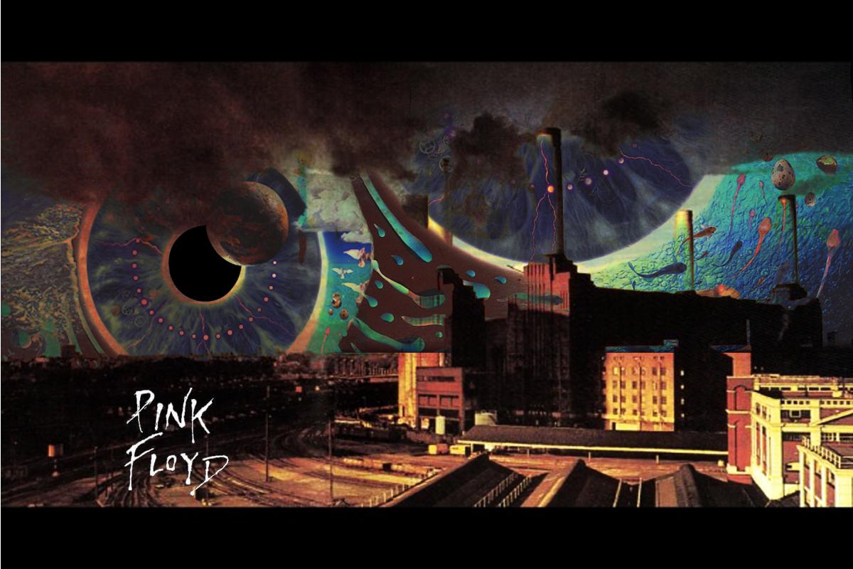 Pink Floyd Pulse Wallpapers Top Free Pink Floyd Pulse Backgrounds