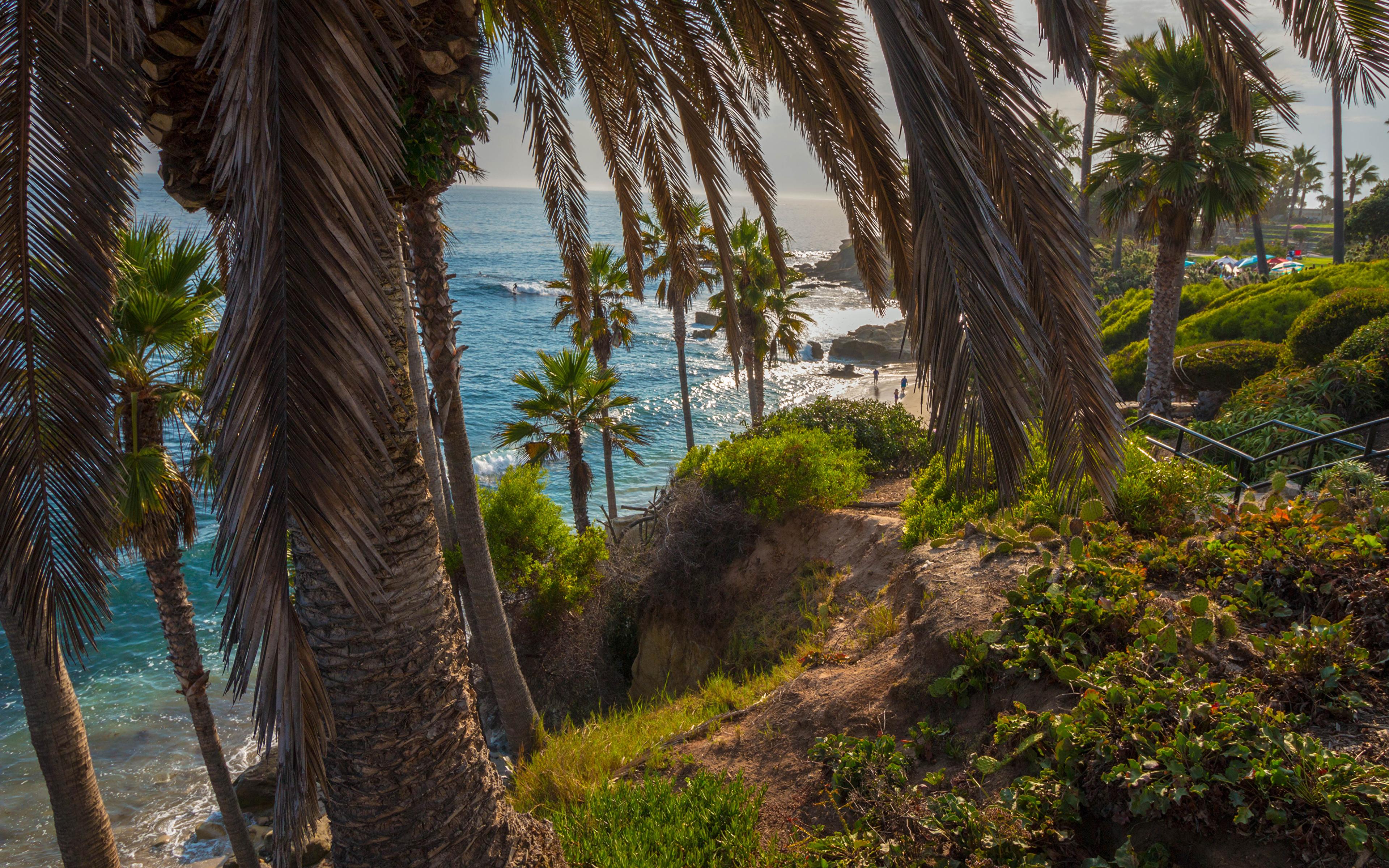 Laguna Beach HD Wallpapers Top Free Laguna Beach HD Backgrounds