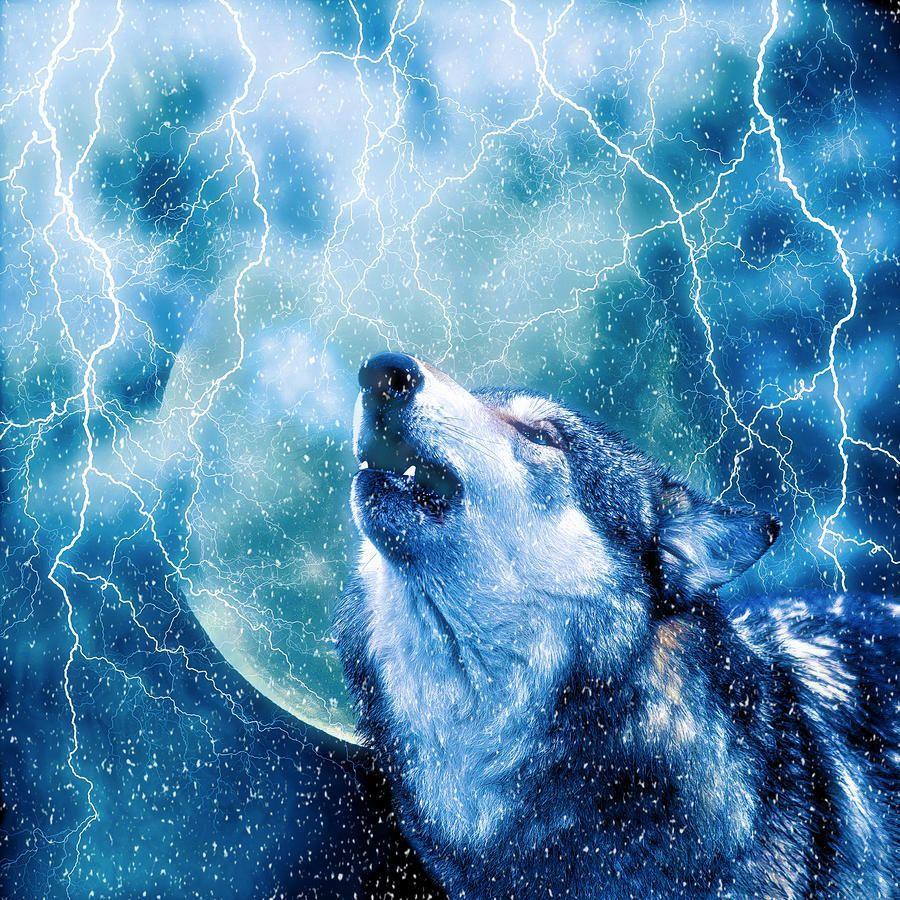 Blue Lightning Wolf Wallpapers Top Free Blue Lightning Wolf Backgrounds WallpaperAccess