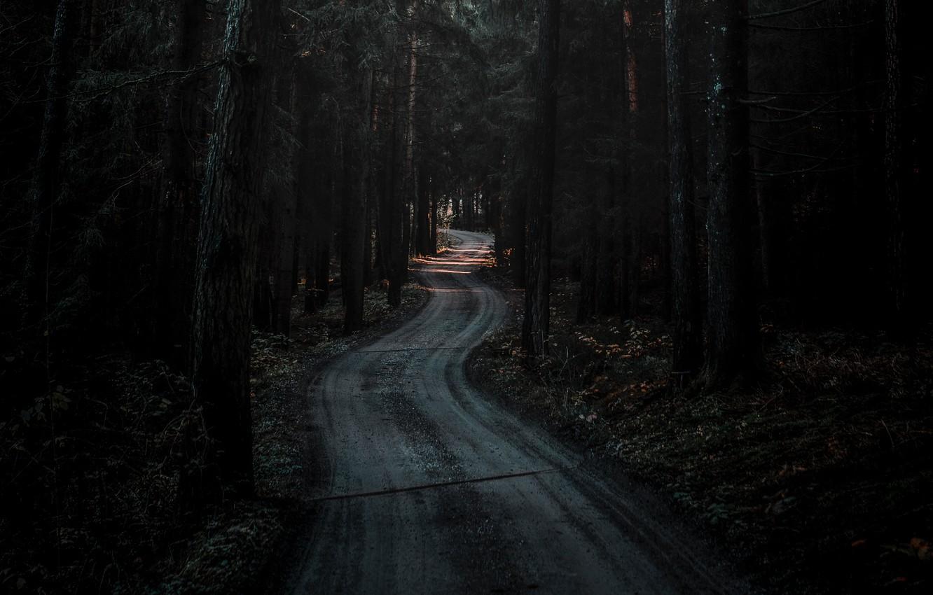 Dark Forest Road HD Large Wallpapers Top Free Dark Forest Road HD