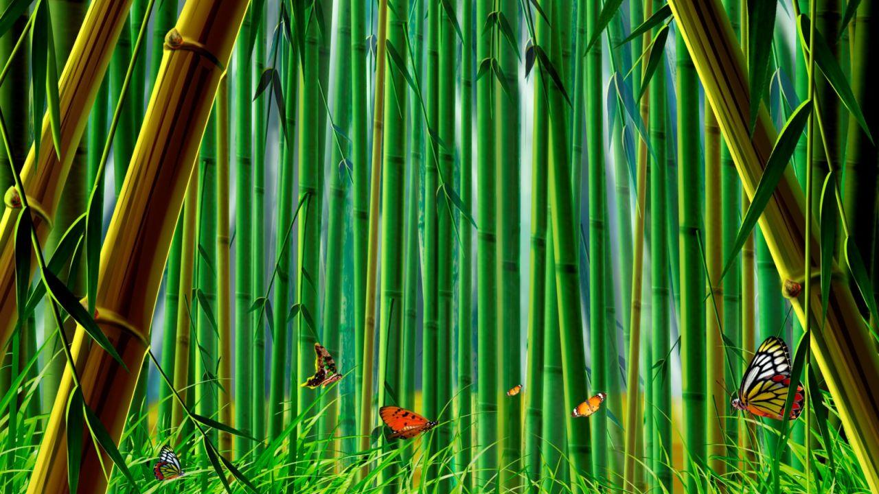 Bamboo Garden Wallpapers Top Free Bamboo Garden Backgrounds WallpaperAccess