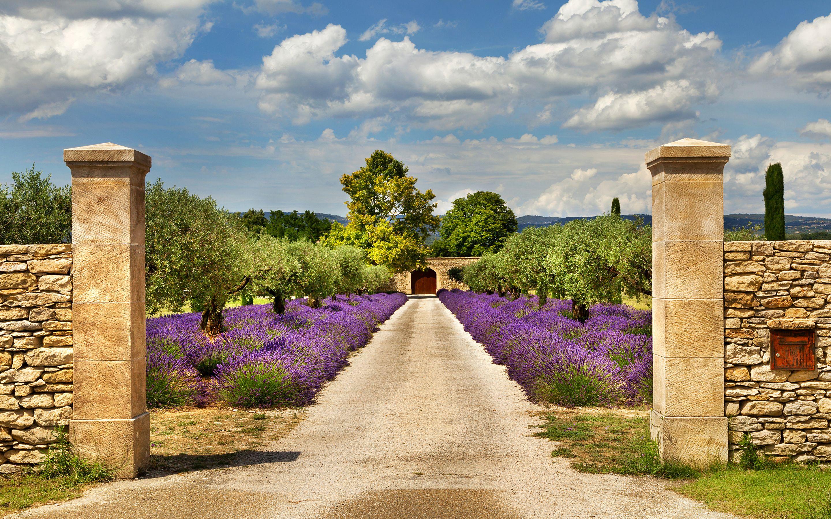 Provence France Wallpapers Top Free Provence France Backgrounds WallpaperAccess