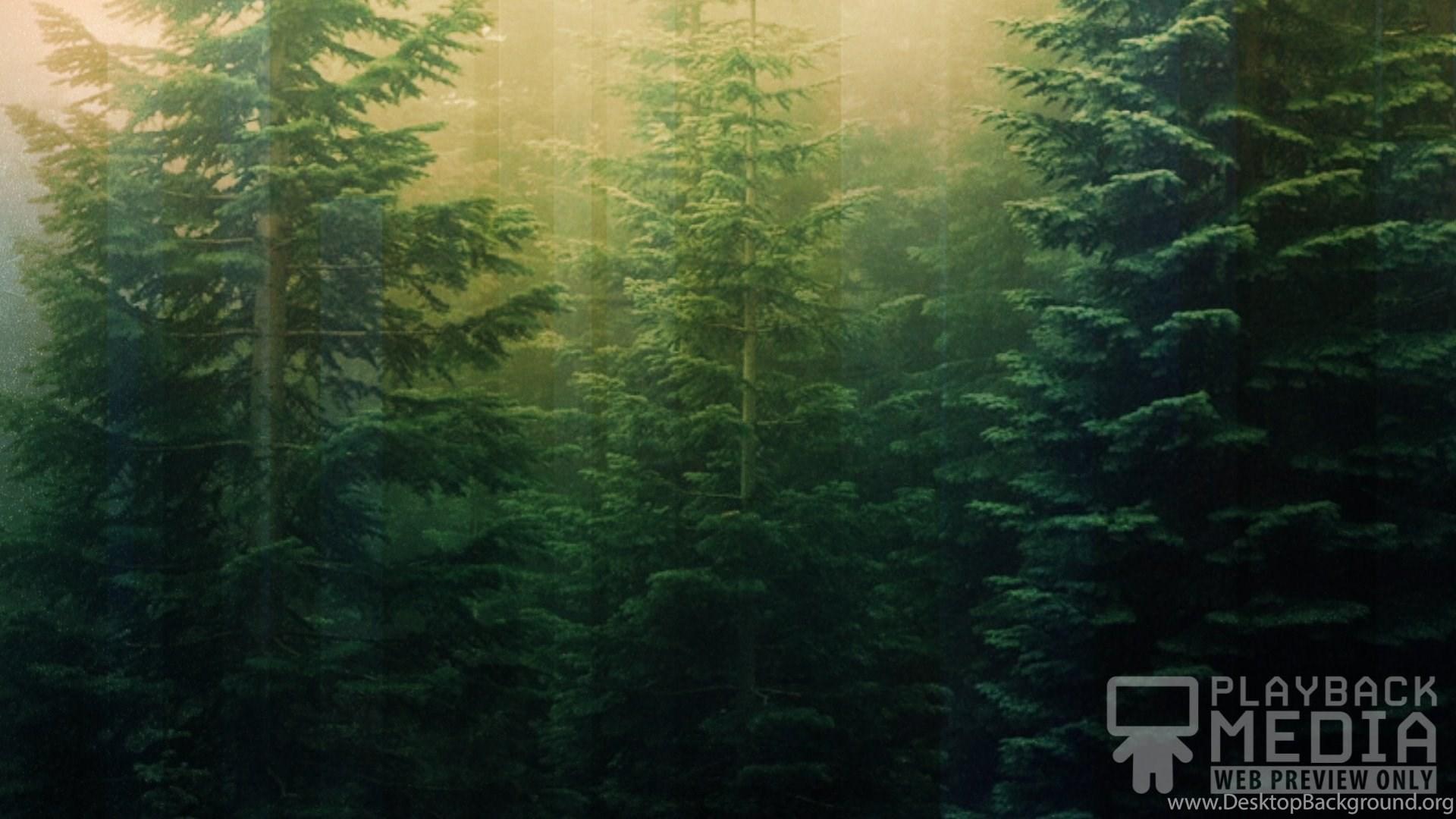 Calming Green Wallpapers Top Free Calming Green Backgrounds