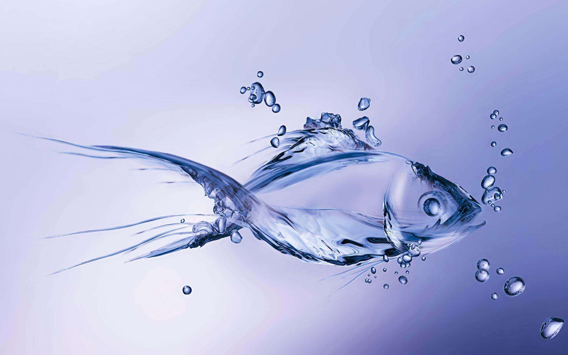 3D Fish Desktop Wallpapers Top Free 3D Fish Desktop Backgrounds