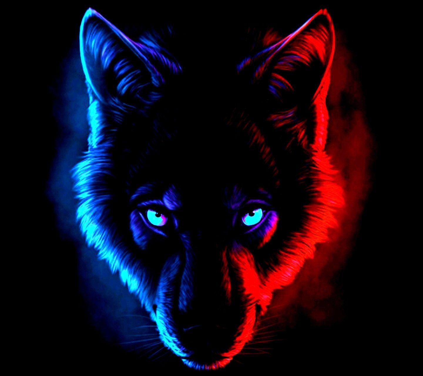 Cool Red Wolf Wallpapers Top Free Cool Red Wolf Backgrounds