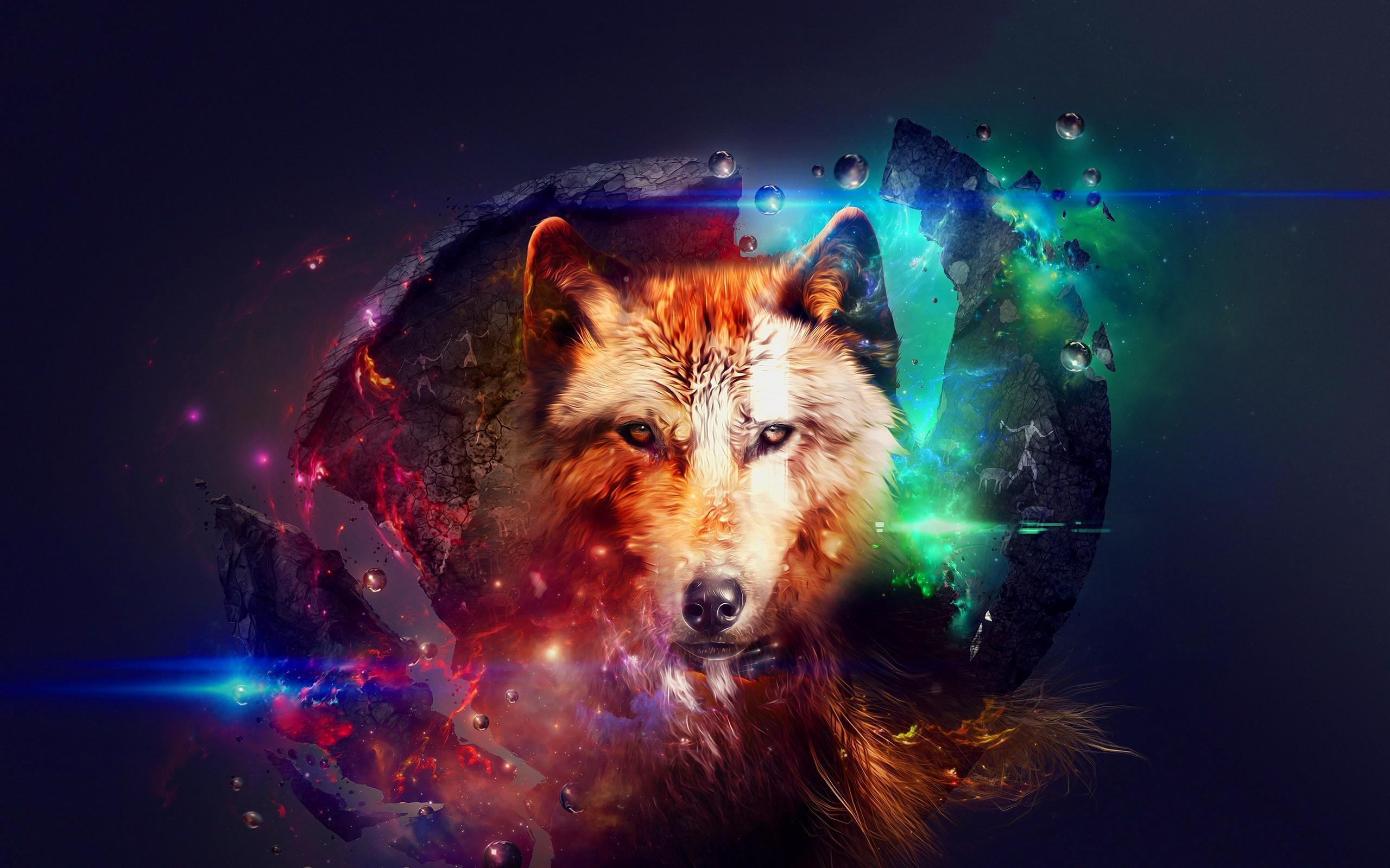 Cool Red Wolf Wallpapers Top Free Cool Red Wolf Backgrounds