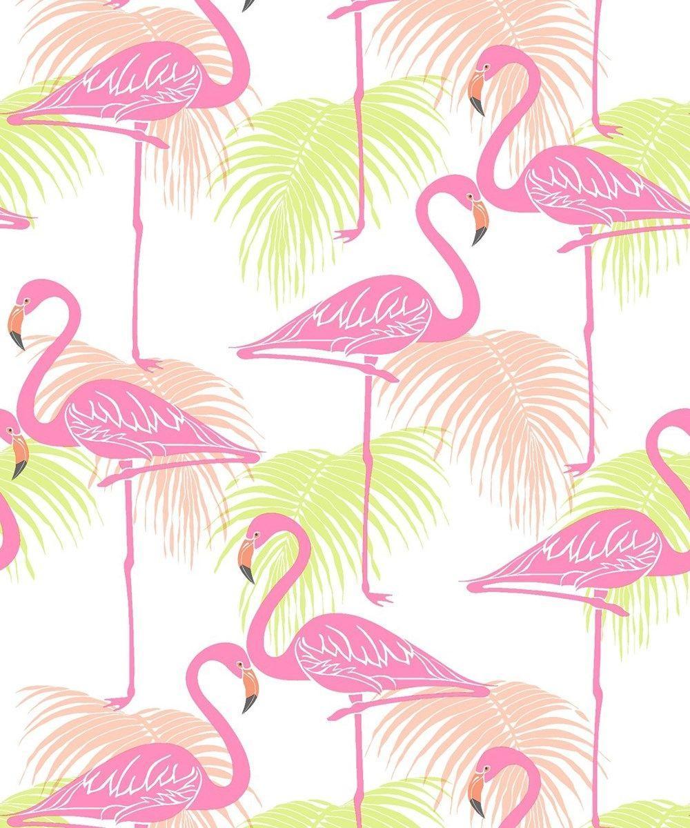 Pink Flamingo Laptop Wallpapers Top Free Pink Flamingo Laptop