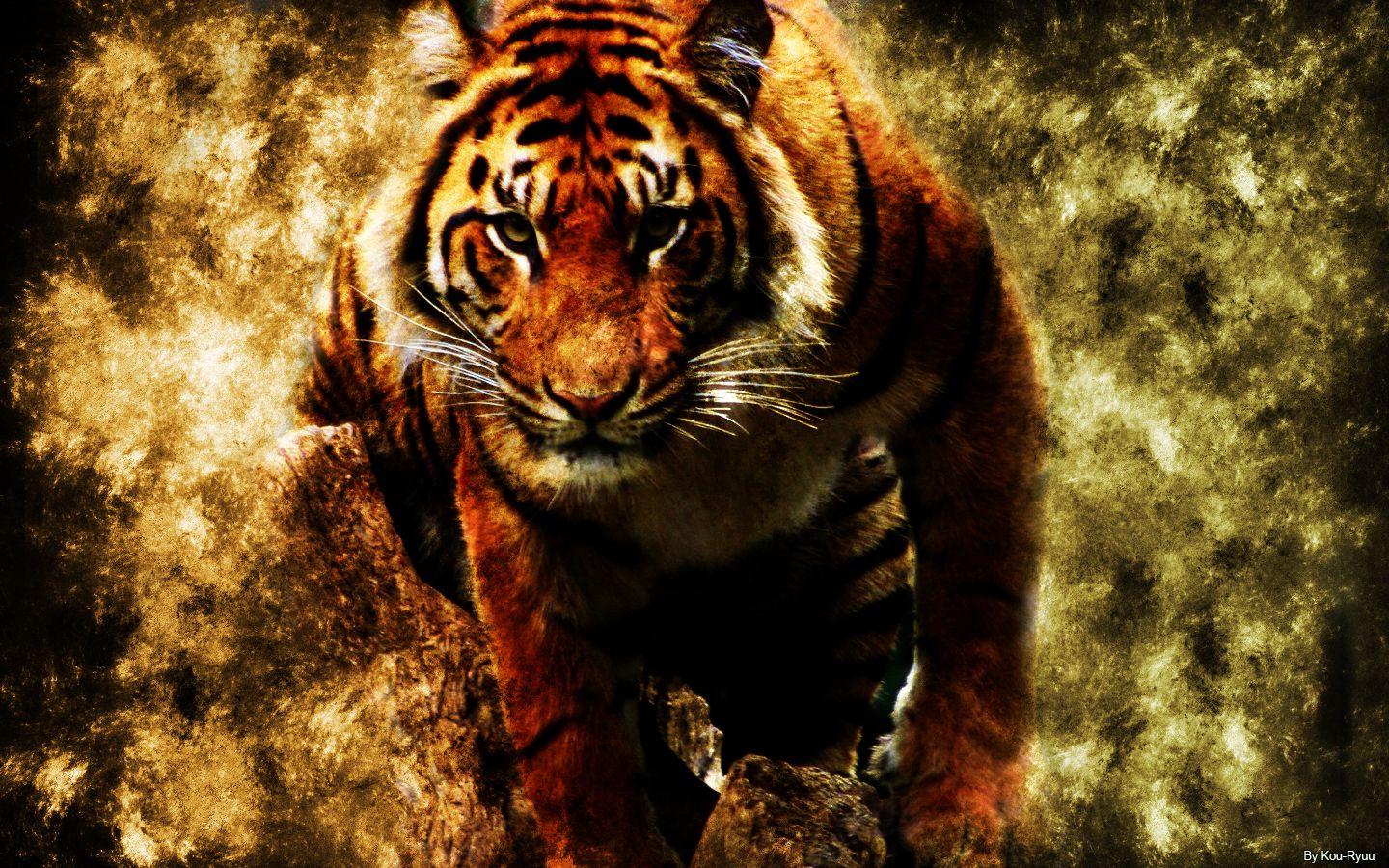Abstract Tiger HD Wallpapers Top Free Abstract Tiger HD Backgrounds WallpaperAccess