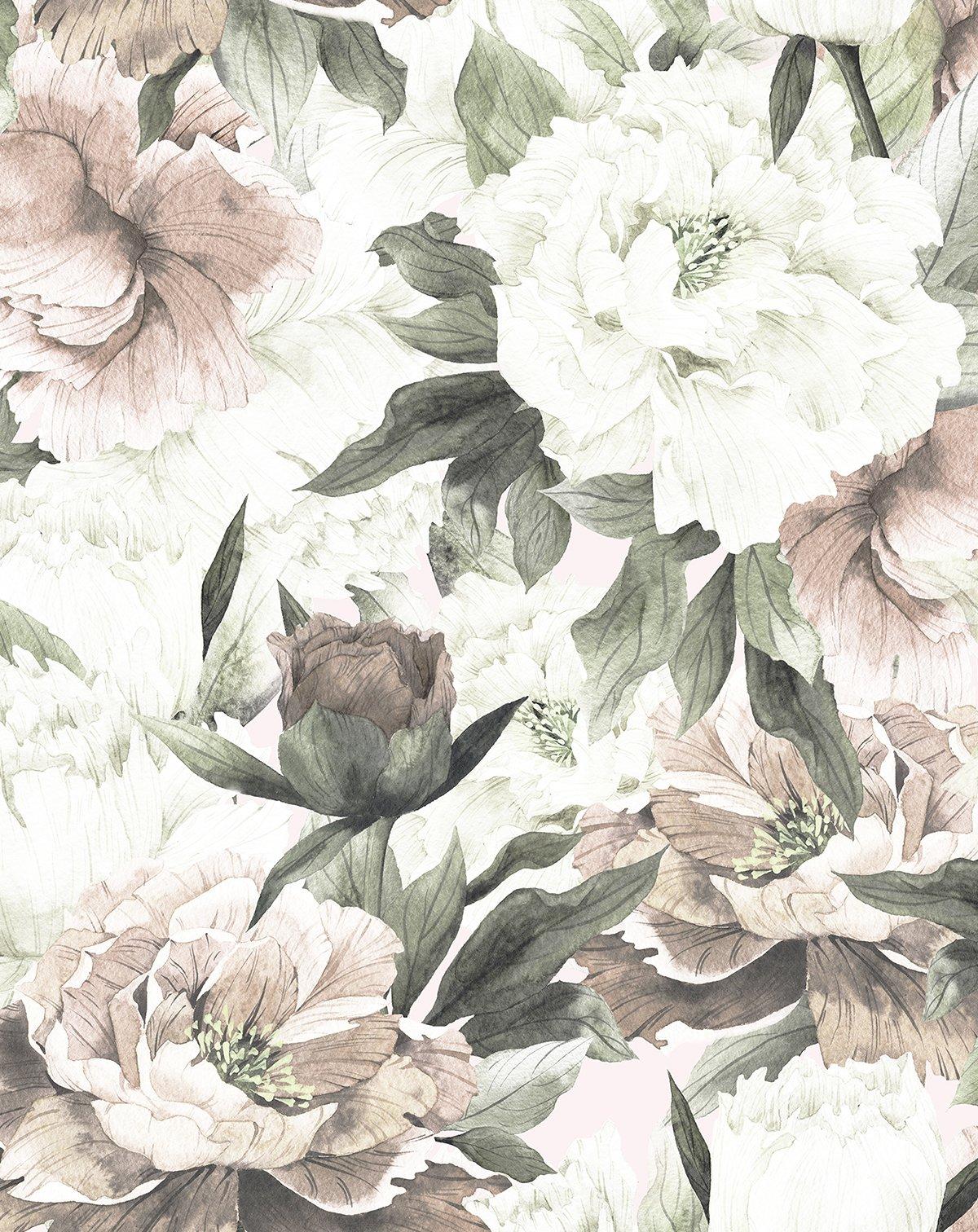 Blush Floral Wallpapers Top Free Blush Floral Backgrounds