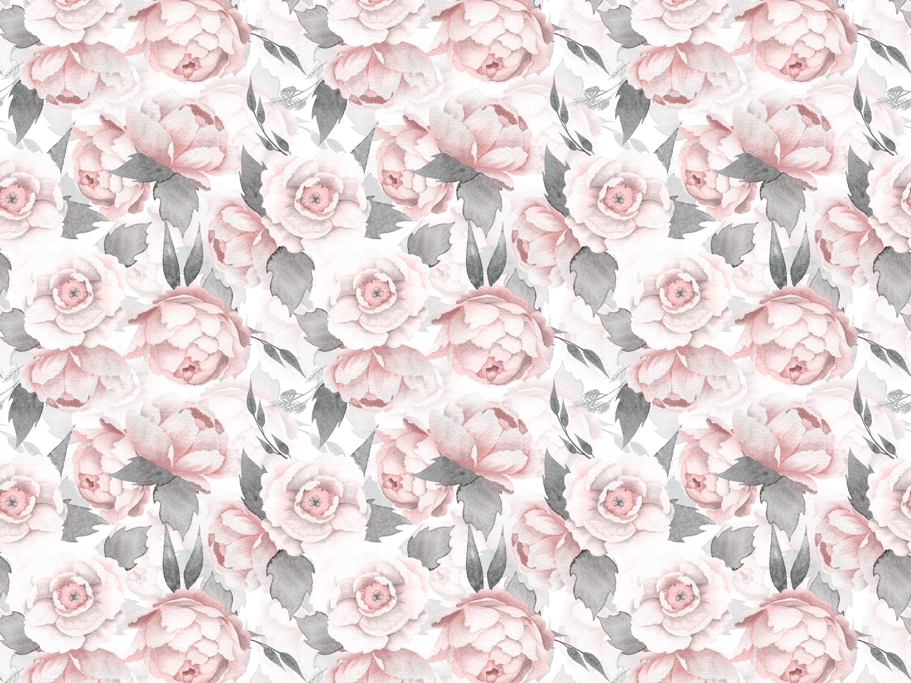 Blush Floral Wallpapers Top Free Blush Floral Backgrounds