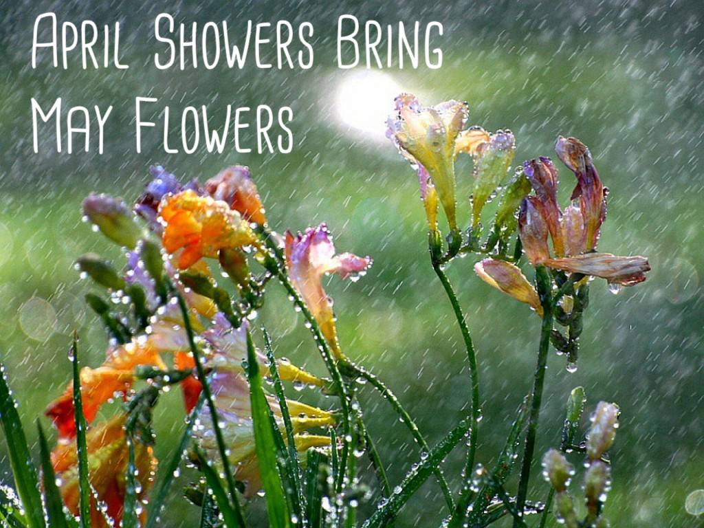 April Showers Bring May Flowers Wallpapers Top Free April Showers