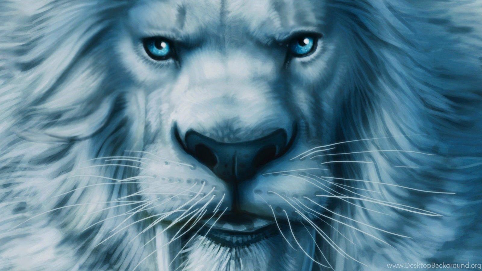 Lion Blue Eyes Wallpapers Top Free Lion Blue Eyes Backgrounds
