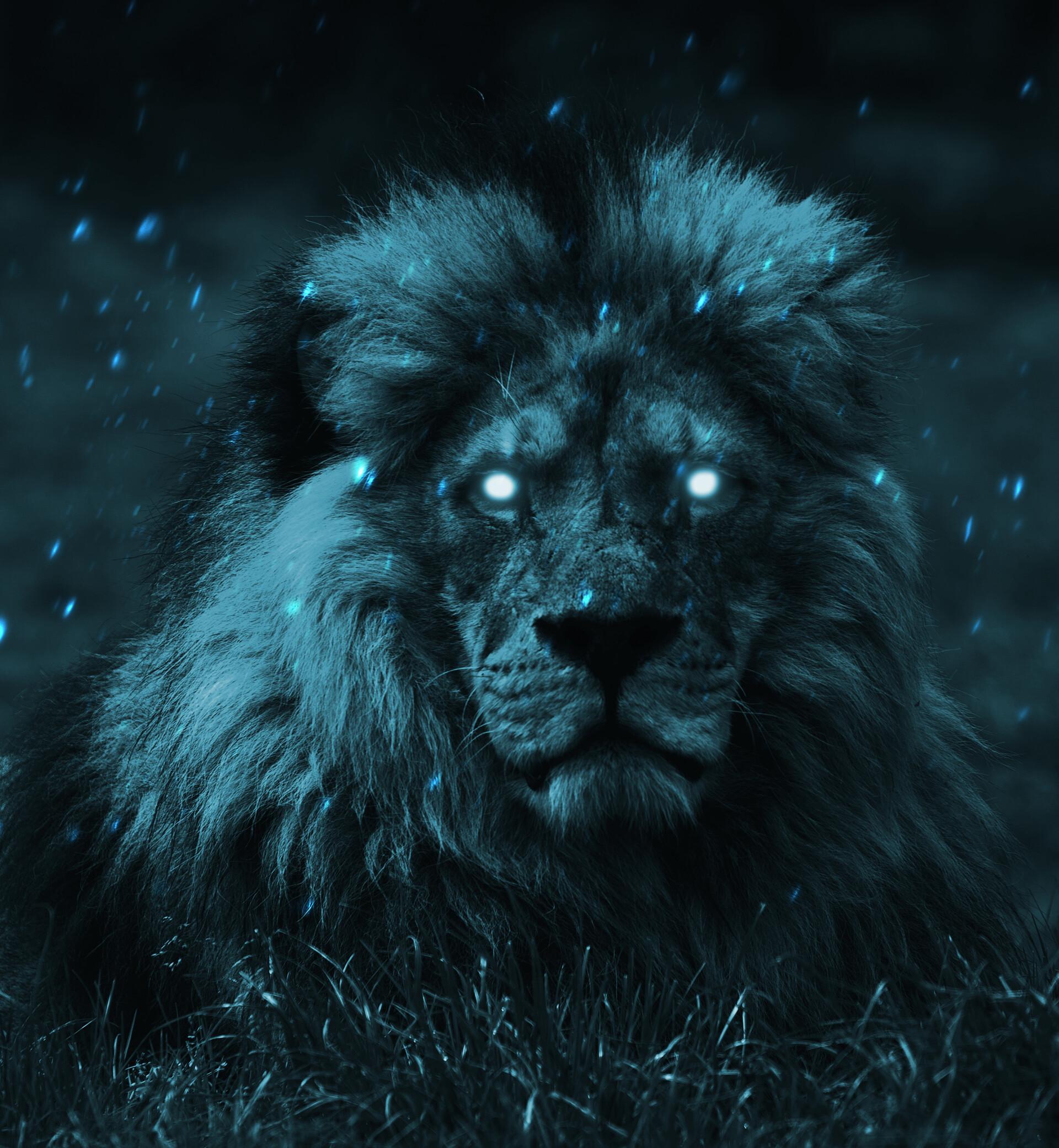 Lion Blue Eyes Wallpapers Top Free Lion Blue Eyes Backgrounds