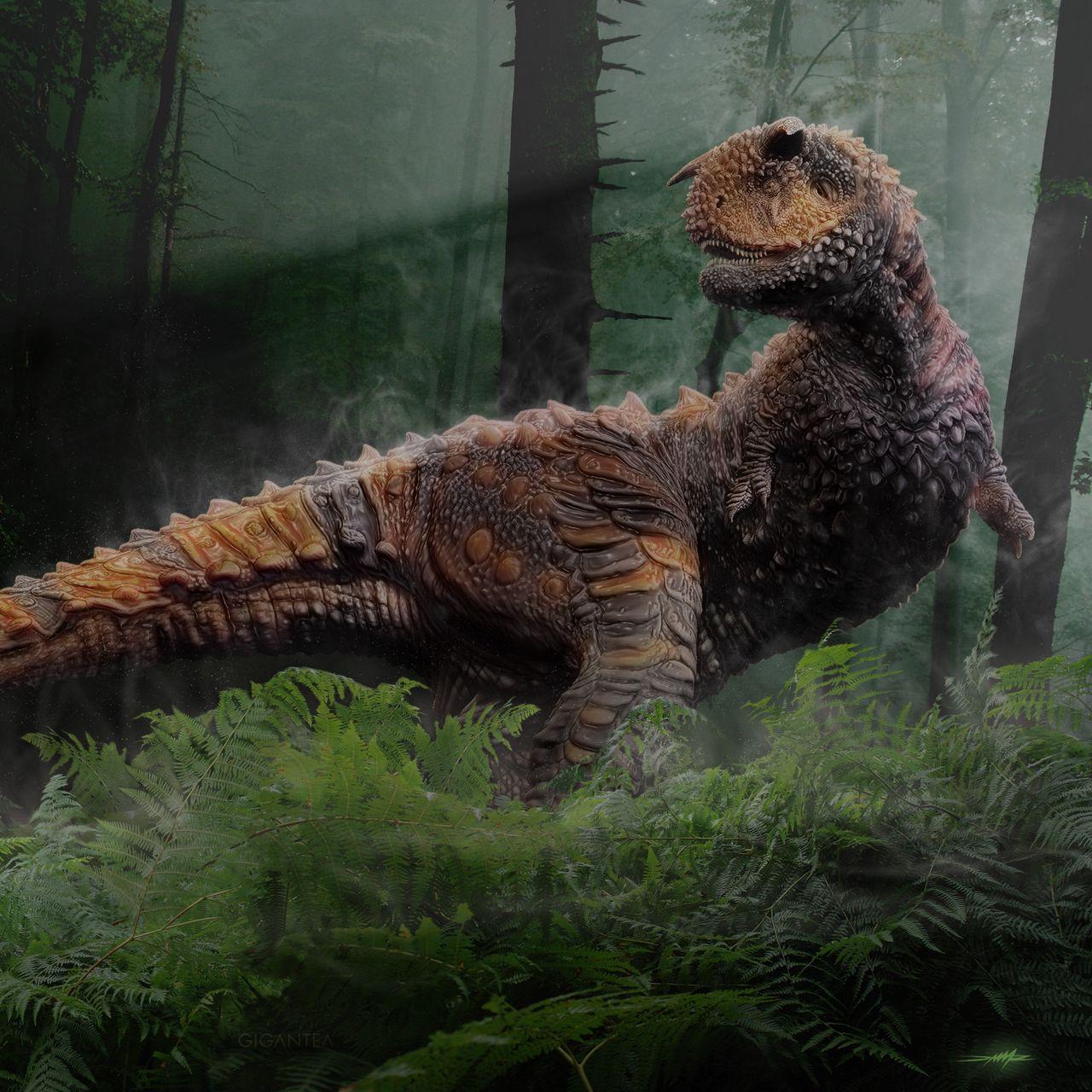 Dinosaur iPad Wallpapers Top Free Dinosaur iPad Backgrounds