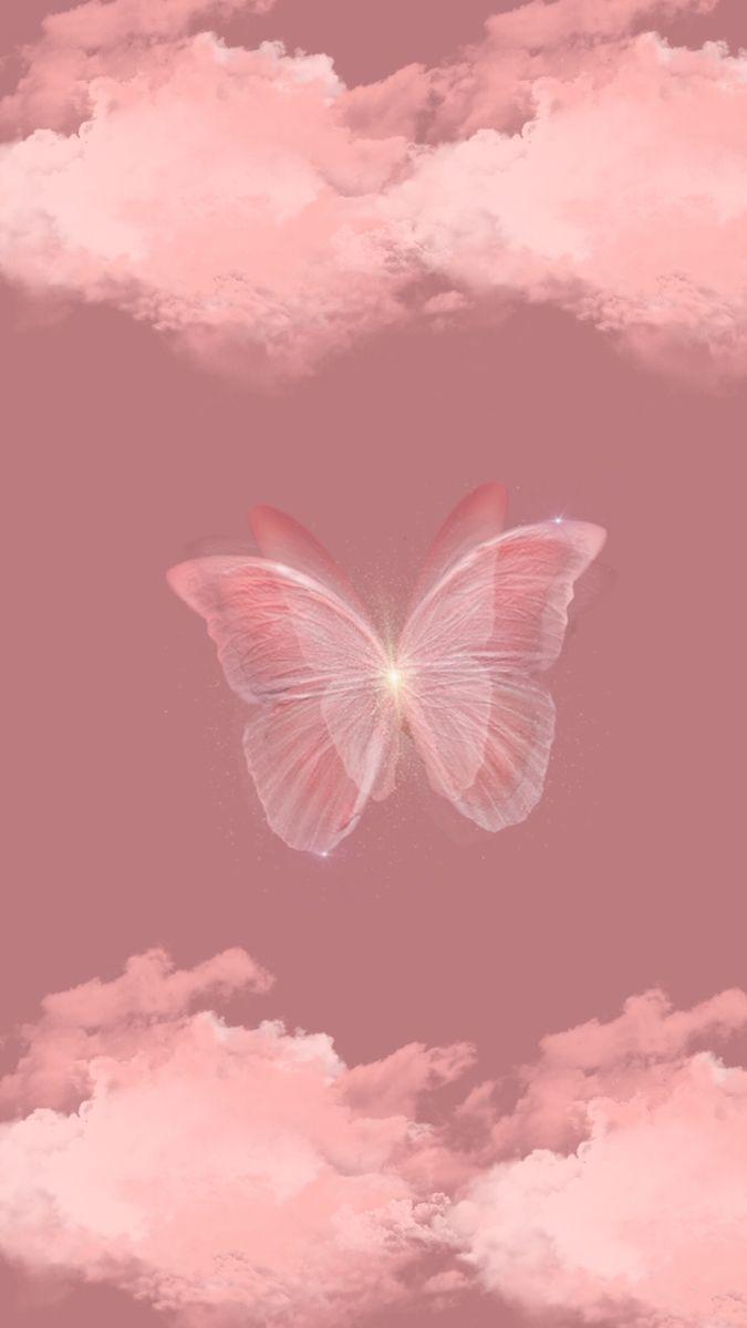Rose Gold Butterflies Wallpapers Top Free Rose Gold Butterflies