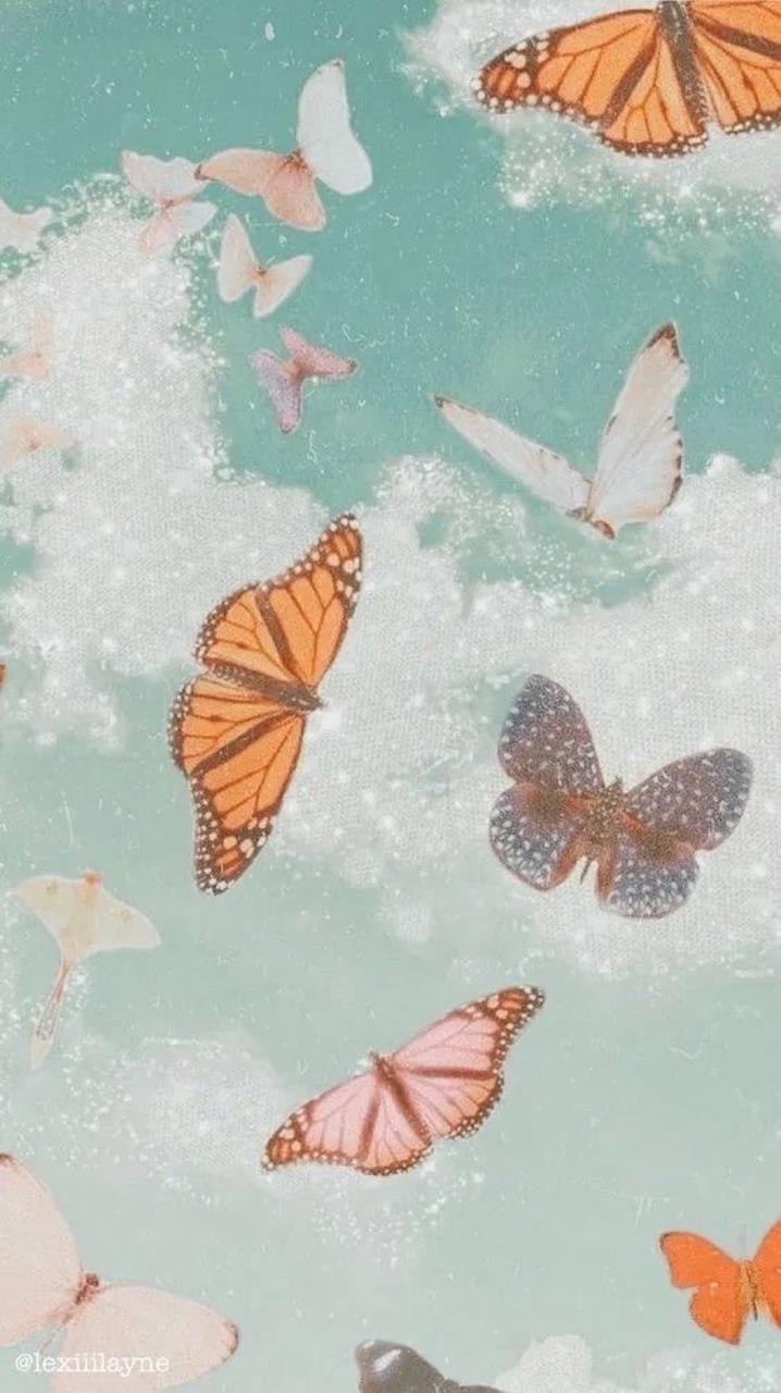 Rose Gold Butterflies Wallpapers Top Free Rose Gold Butterflies
