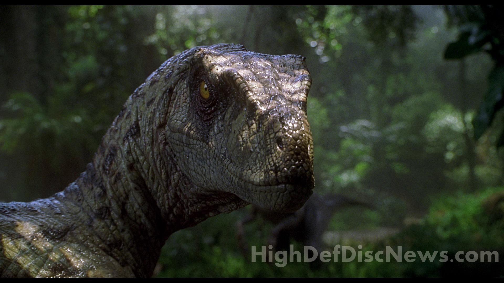 Jurassic Park Velociraptor Wallpapers Top Free Jurassic Park