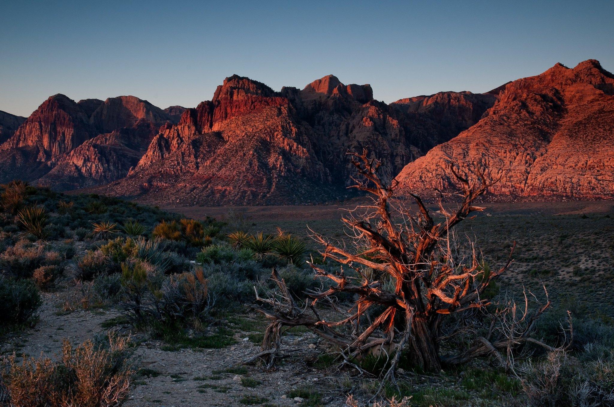 Las Vegas Desert Wallpapers Top Free Las Vegas Desert Backgrounds