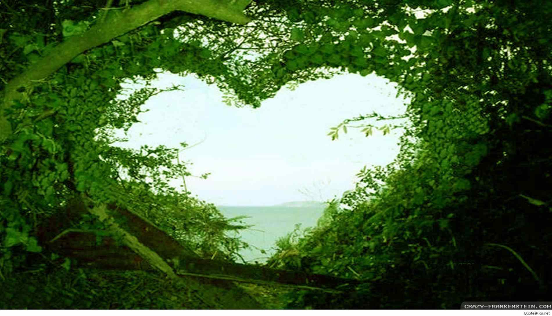 Cute Nature Wallpapers Top Free Cute Nature Backgrounds WallpaperAccess