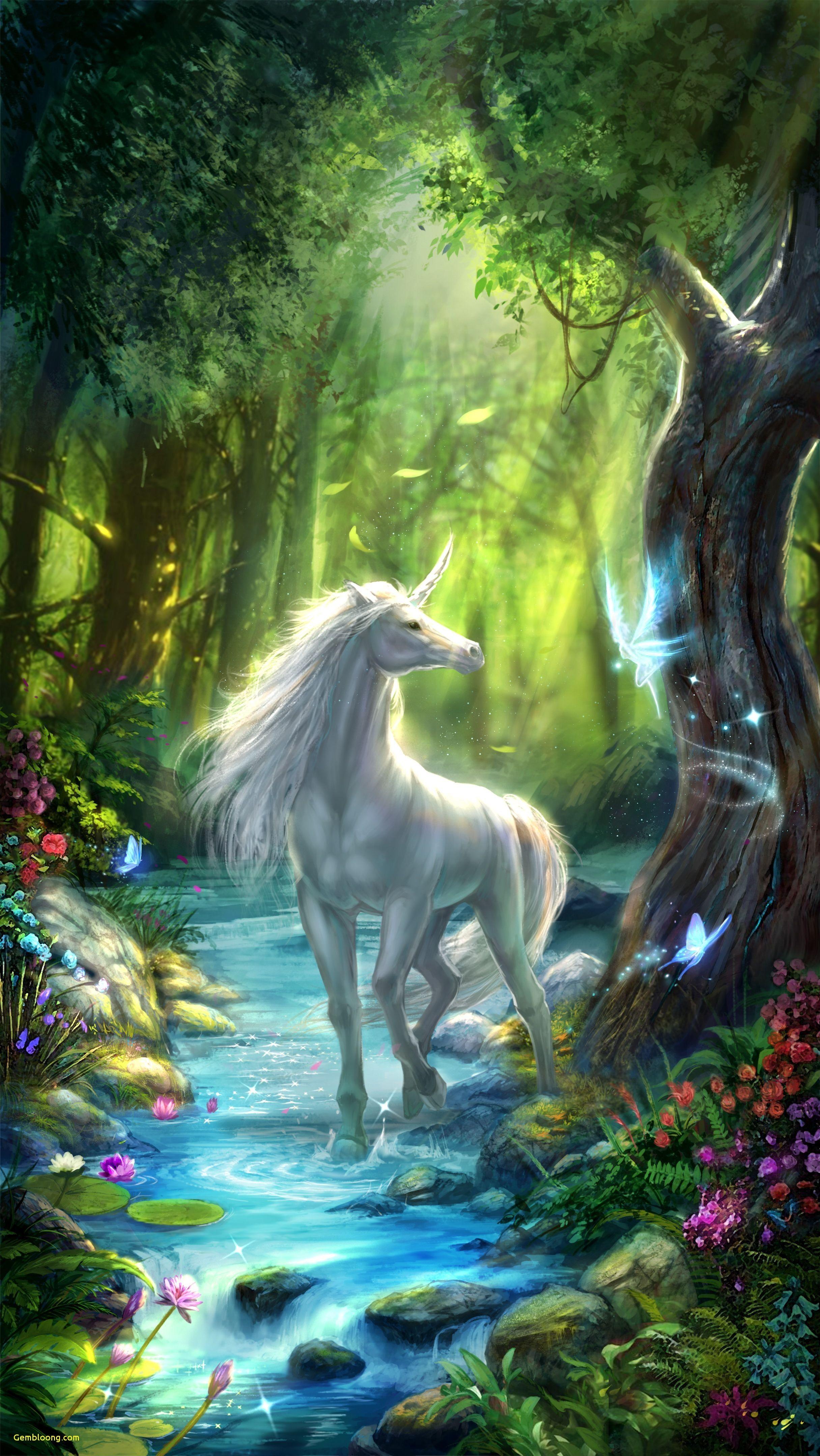 Unicorns and Fairies Wallpapers Top Free Unicorns and Fairies
