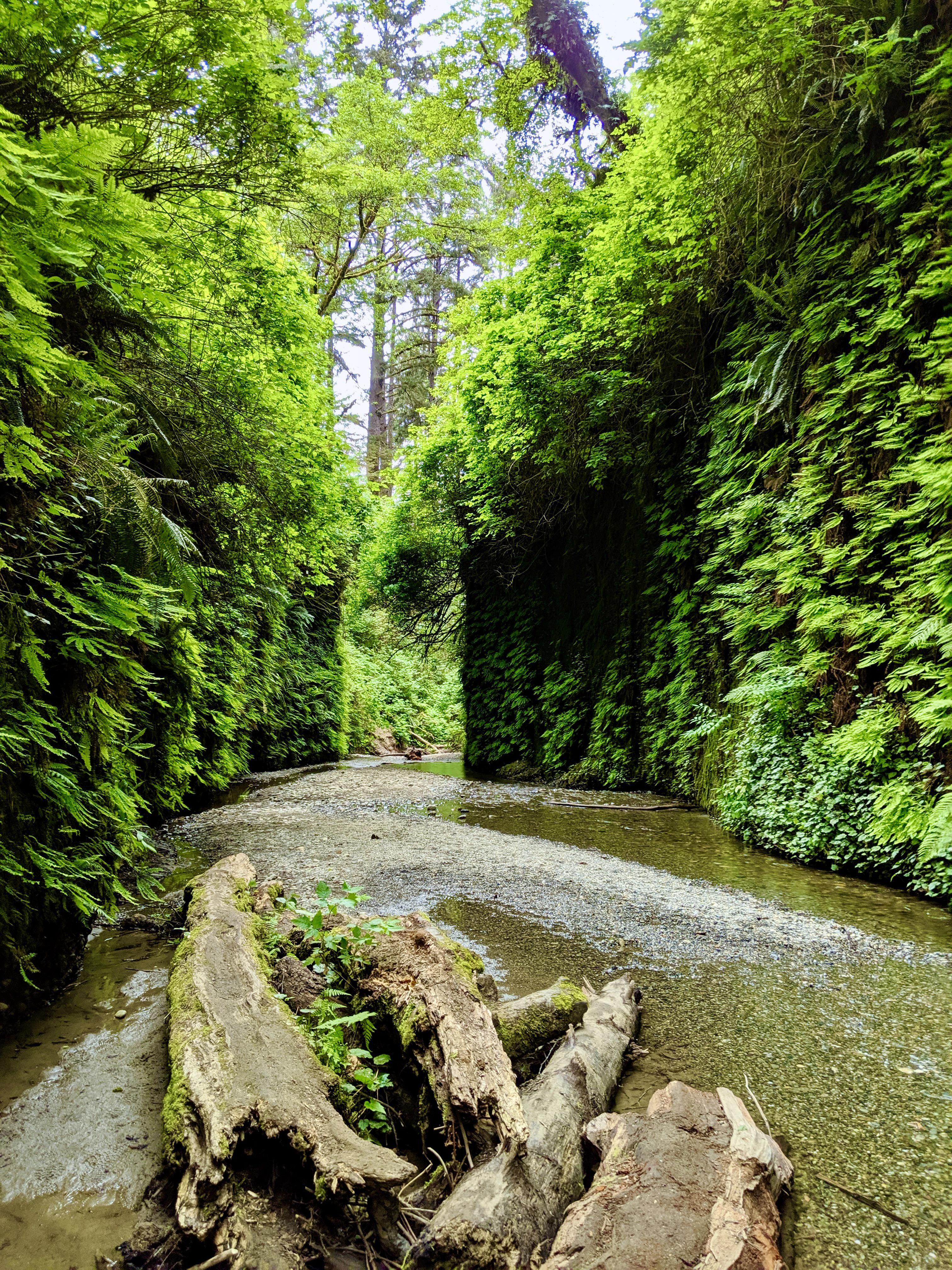 Humboldt County Wallpapers Top Free Humboldt County Backgrounds