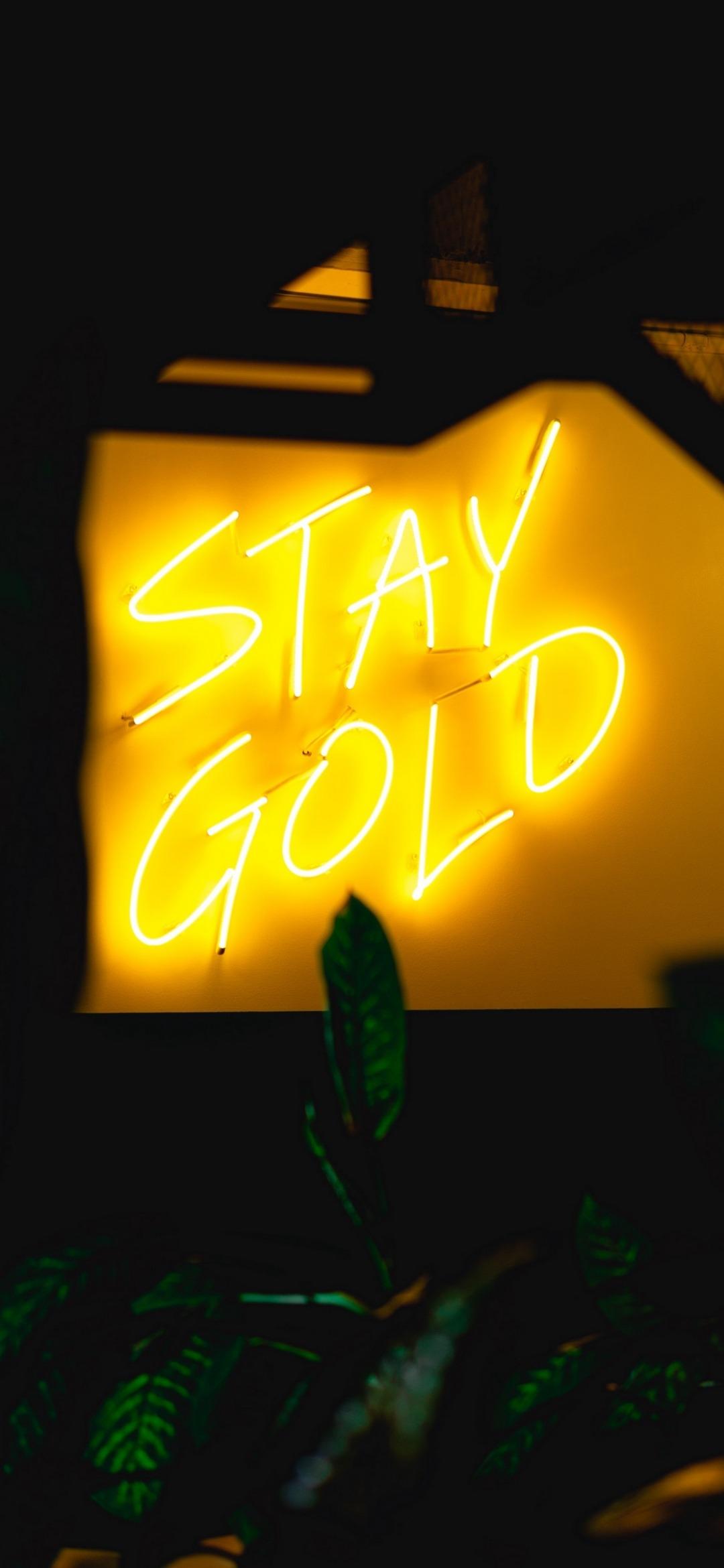 Gold Neon Wallpapers Top Free Gold Neon Backgrounds WallpaperAccess