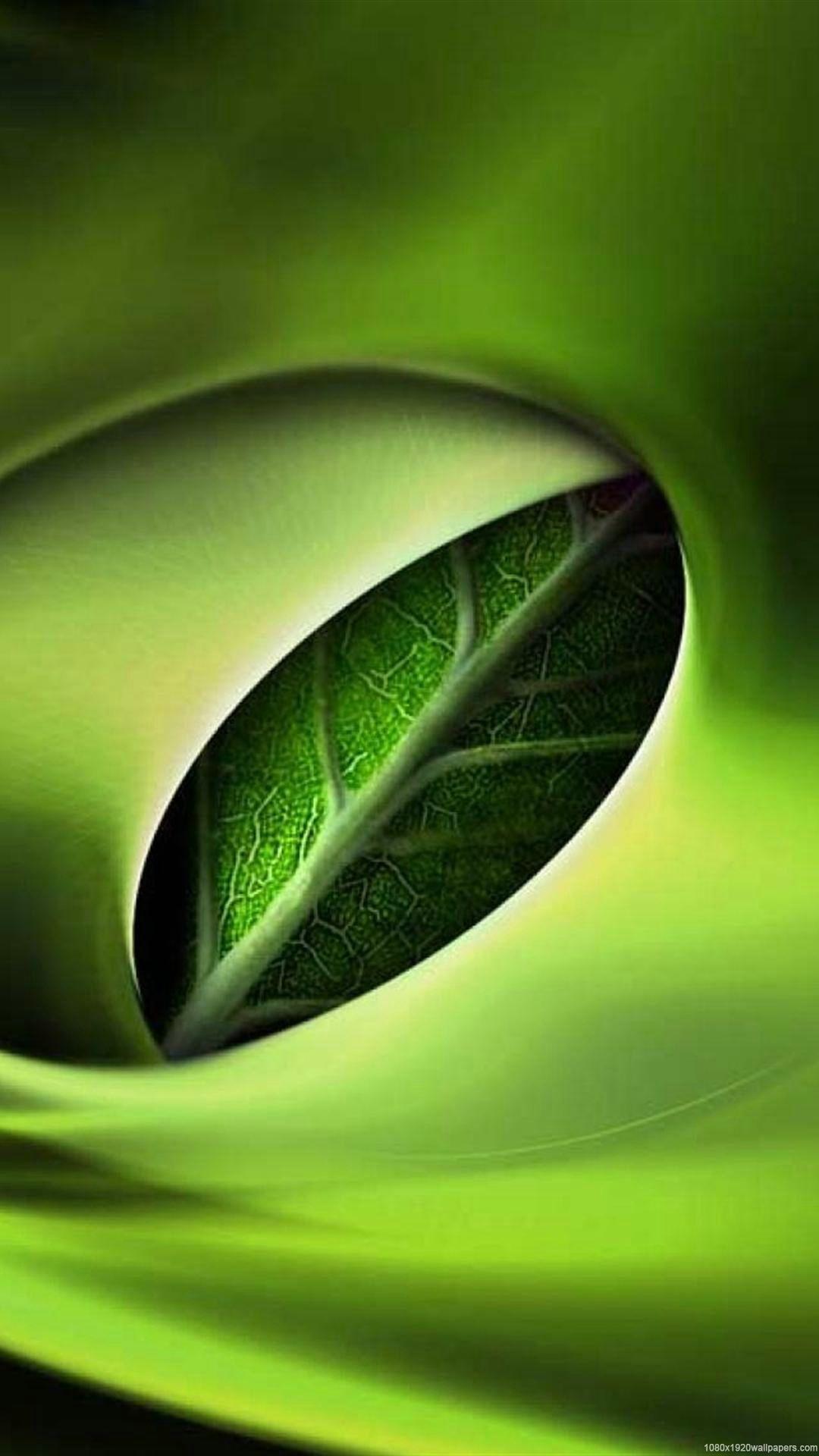 Abstract Nature 3D Wallpapers Top Free Abstract Nature 3D Backgrounds