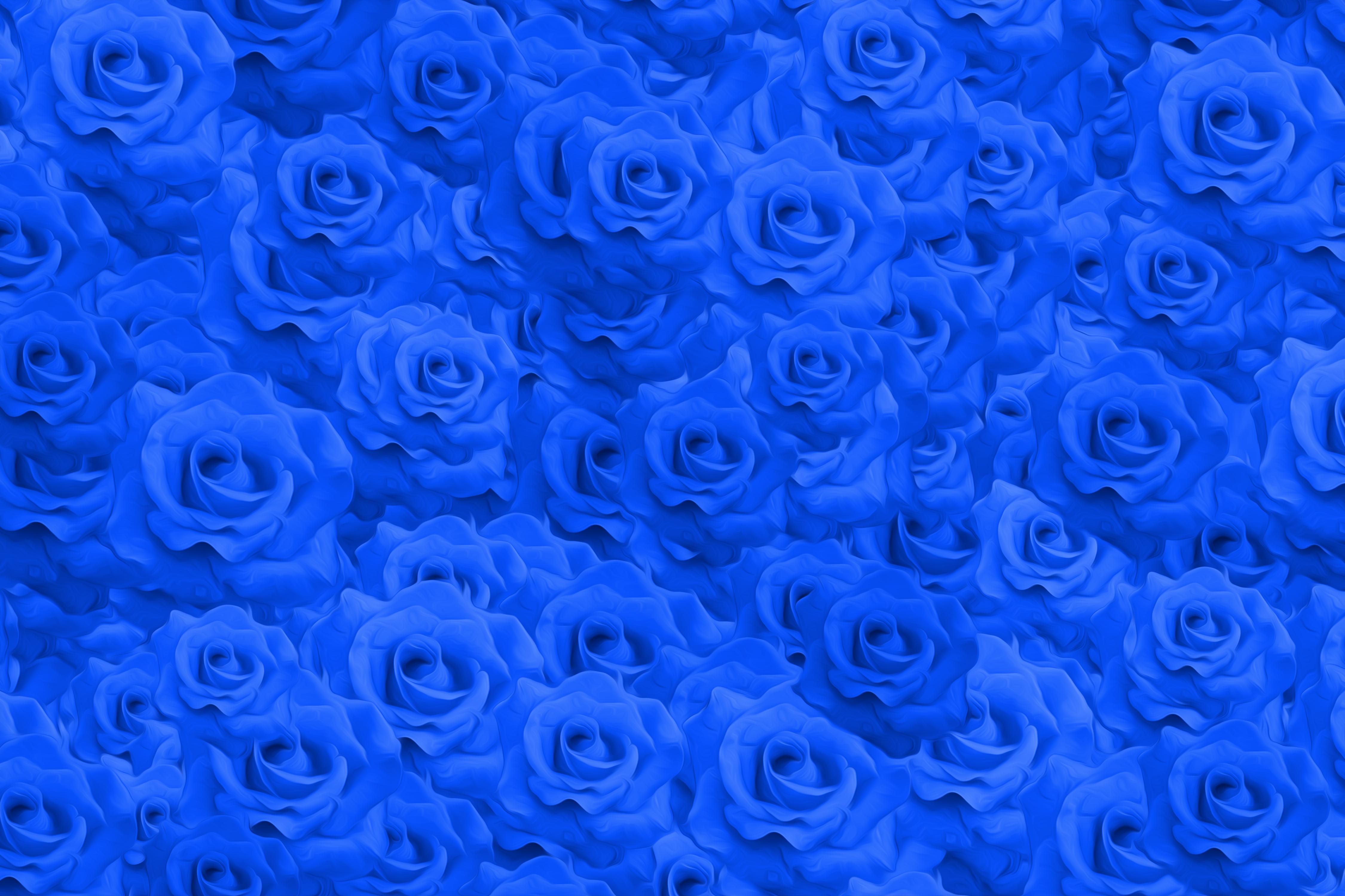 Blue Rose Garden Wallpapers Top Free Blue Rose Garden Backgrounds