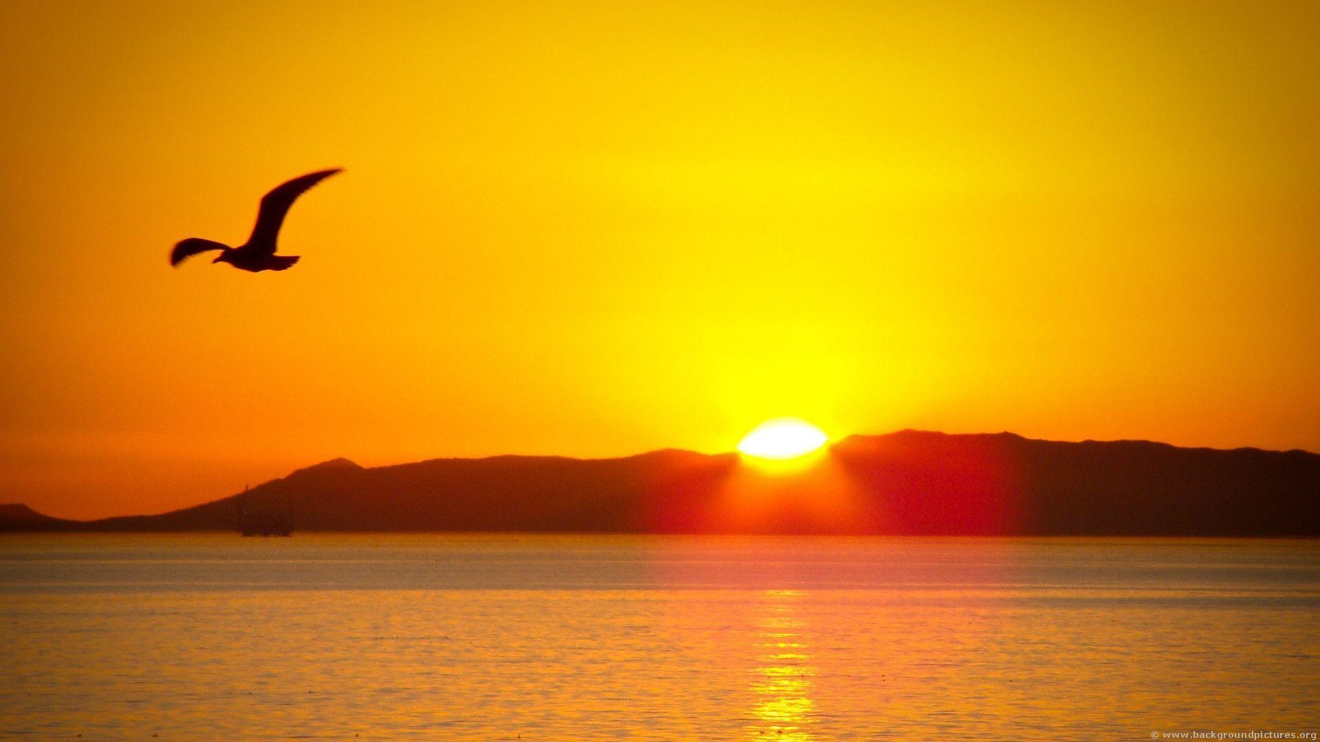 Beautiful Sun Wallpapers Top Free Beautiful Sun Backgrounds