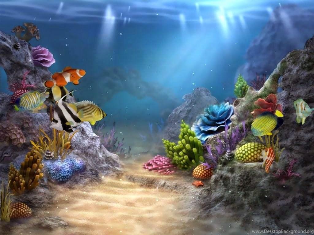 Under Sea HD Wallpapers Top Free Under Sea HD Backgrounds