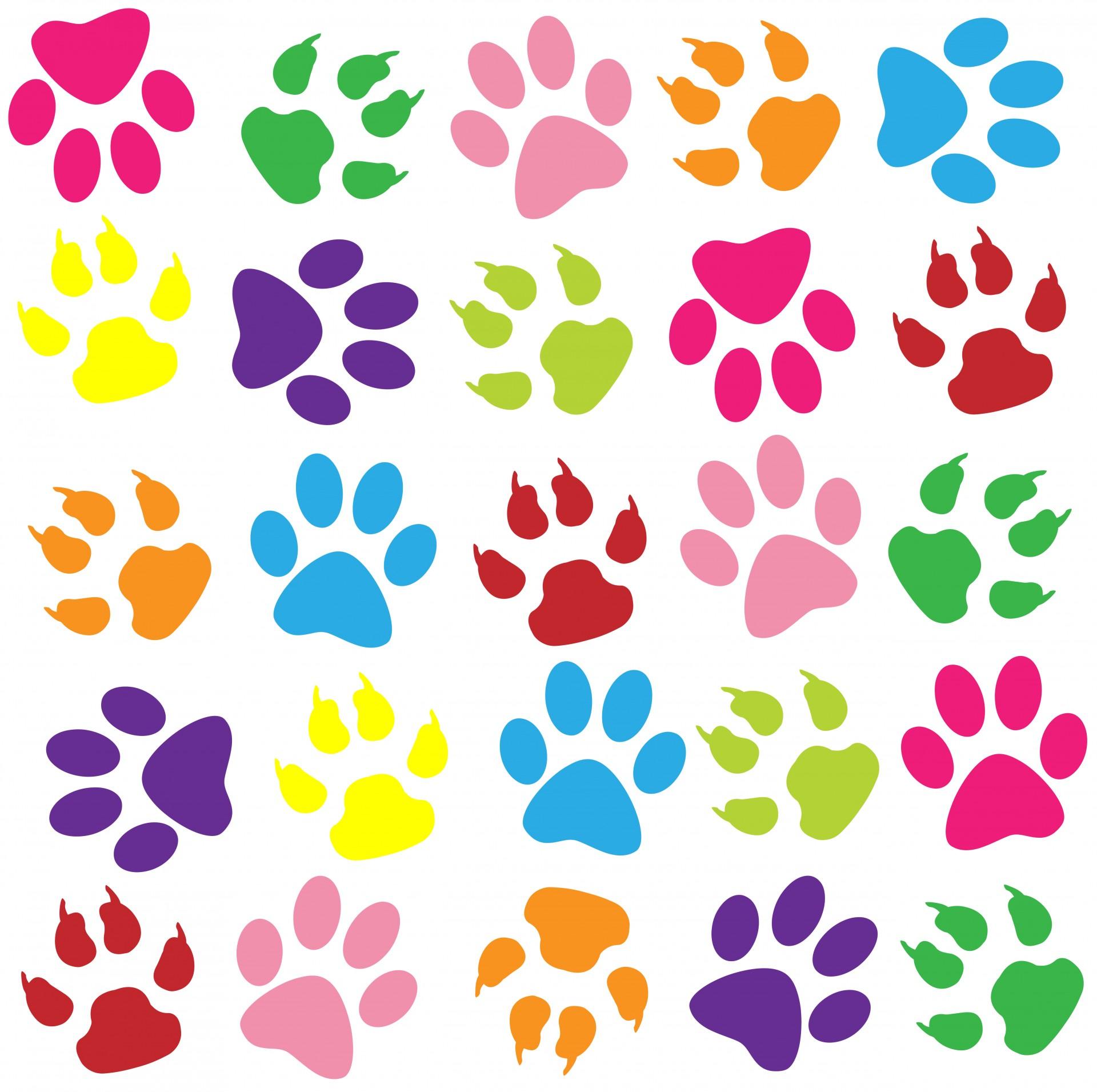 Paw Print Desktop Wallpapers Top Free Paw Print Desktop Backgrounds