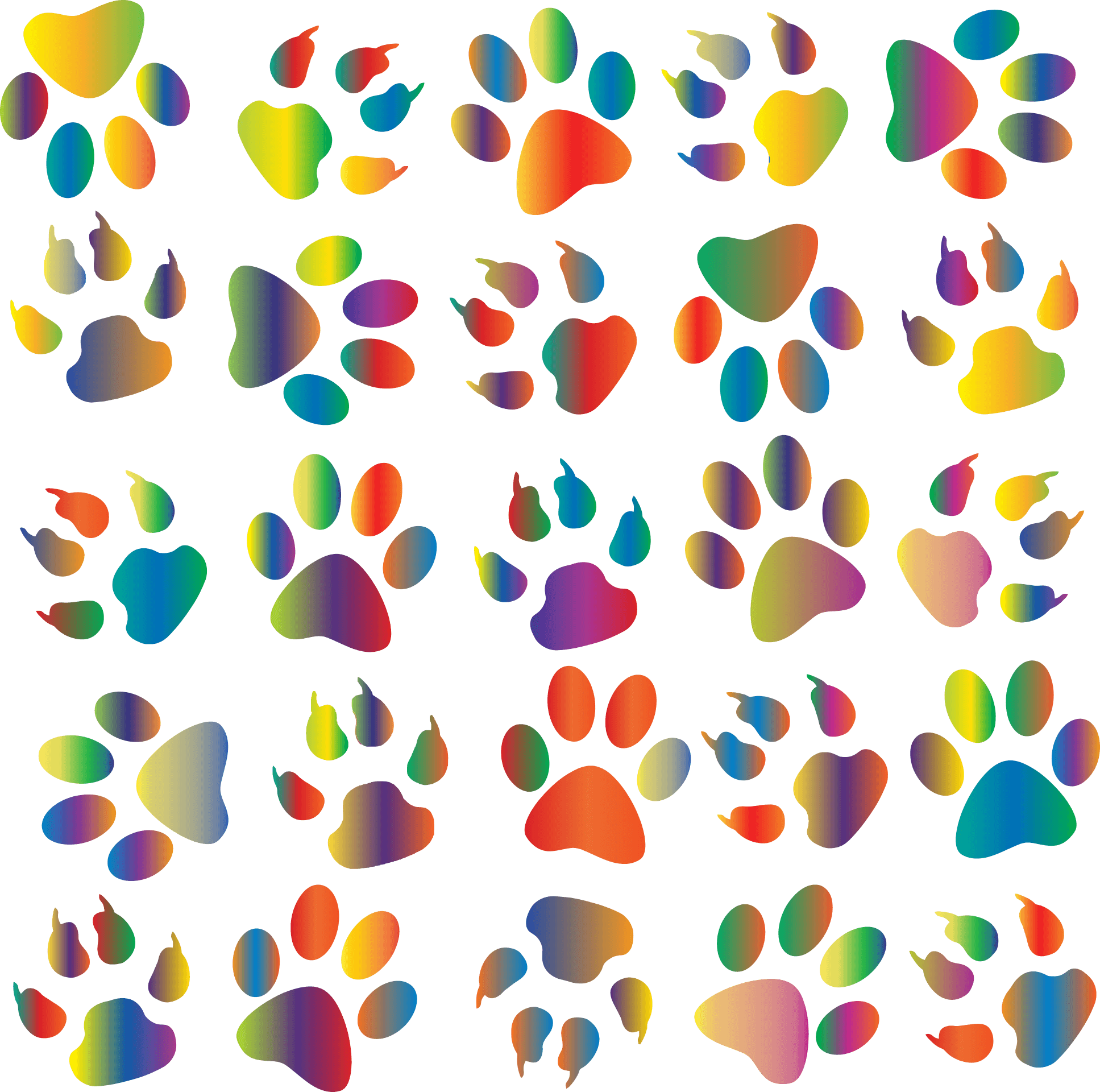 Paw Print Desktop Wallpapers Top Free Paw Print Desktop Backgrounds