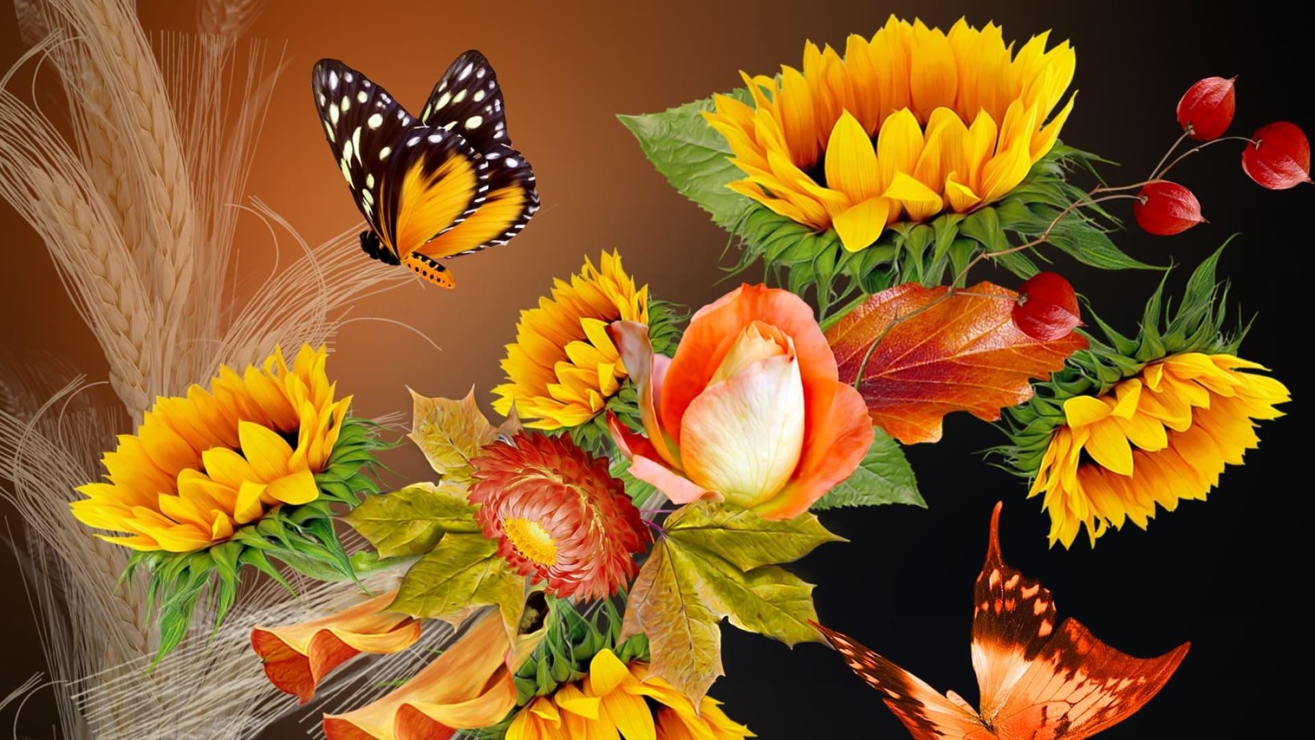 Best Autumn Flowers Wallpapers Top Free Best Autumn Flowers