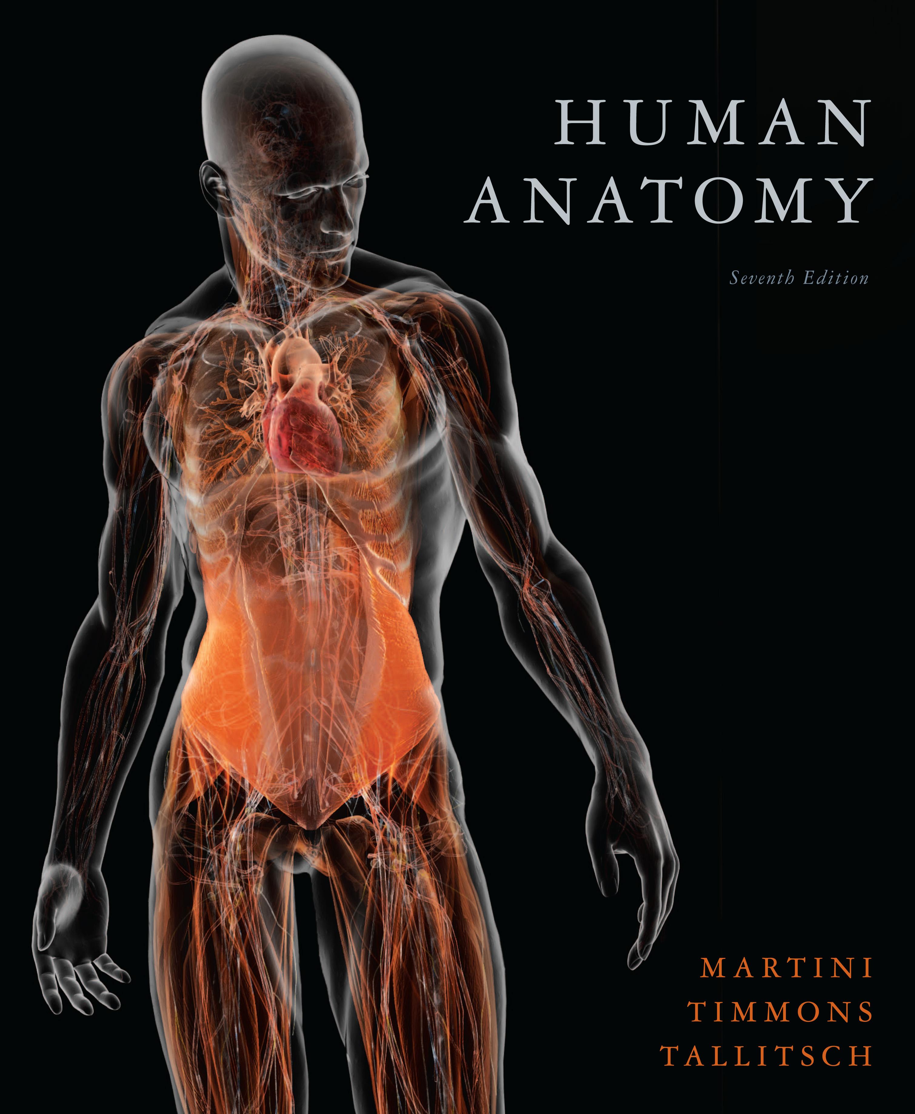 Human Body HD Wallpapers - Top Free Human Body HD Backgrounds