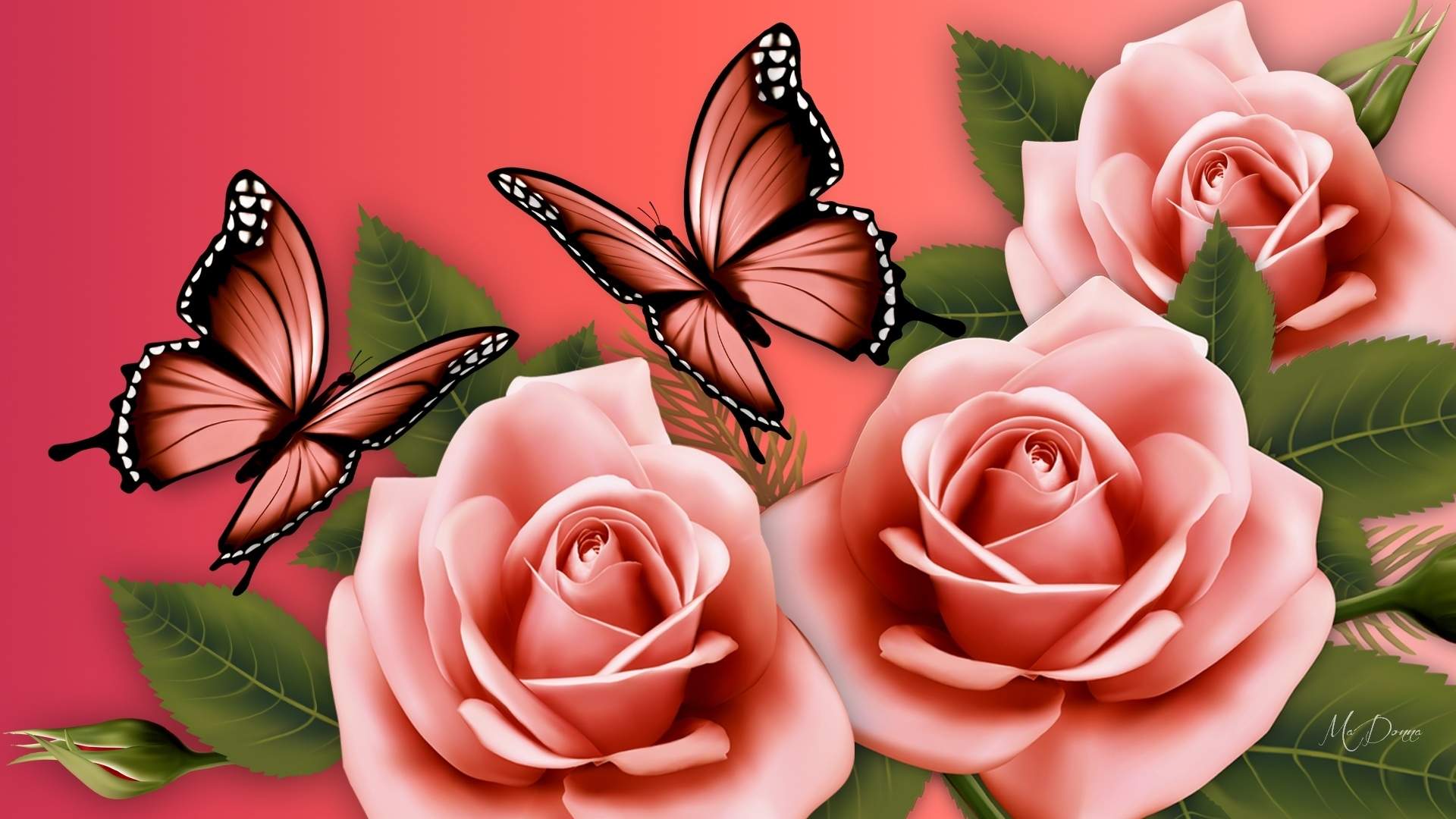 Rose Flowers and Butterflies Wallpapers Top Free Rose Flowers and