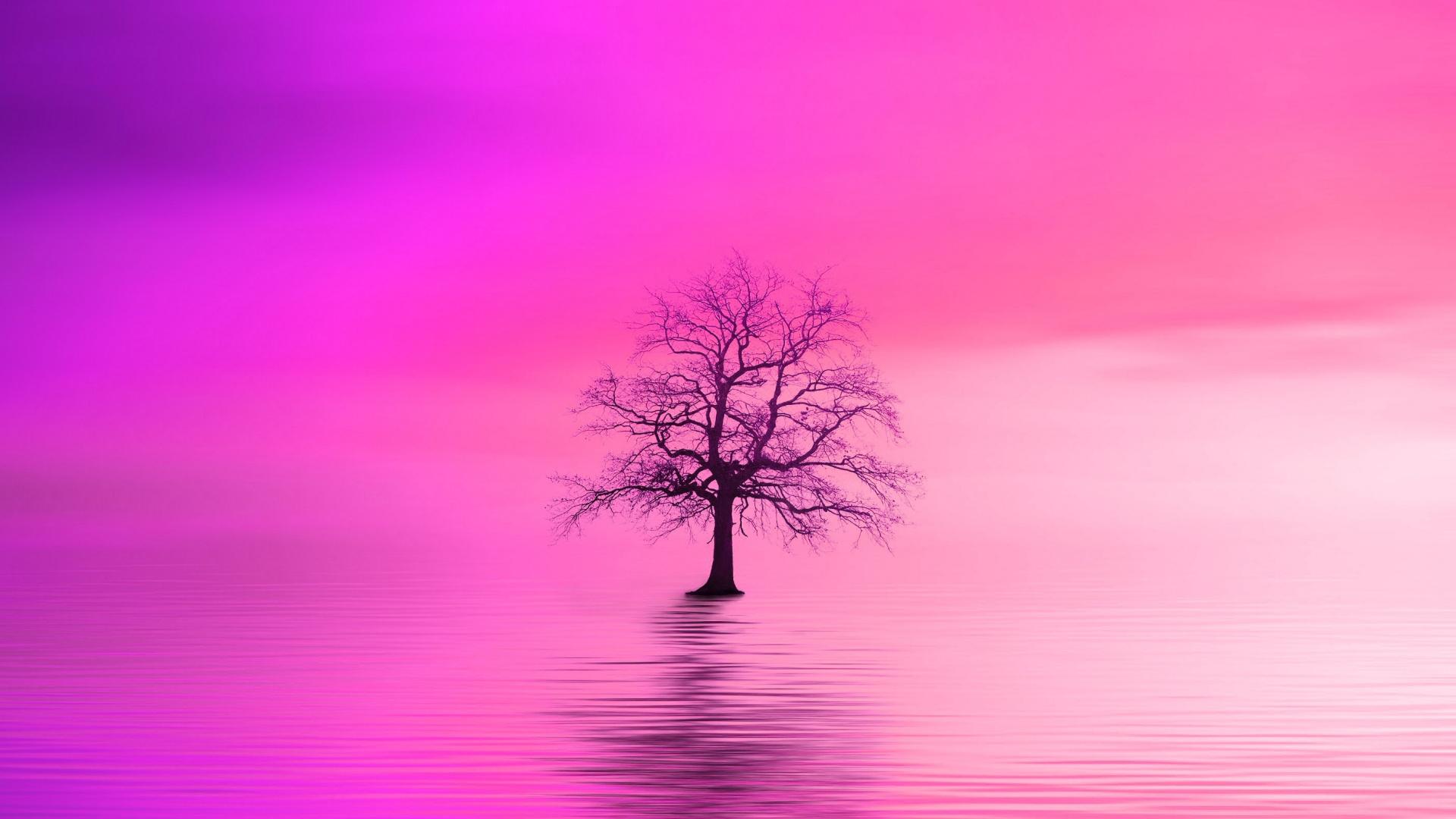 Pink Tree Wallpapers Top Free Pink Tree Backgrounds WallpaperAccess