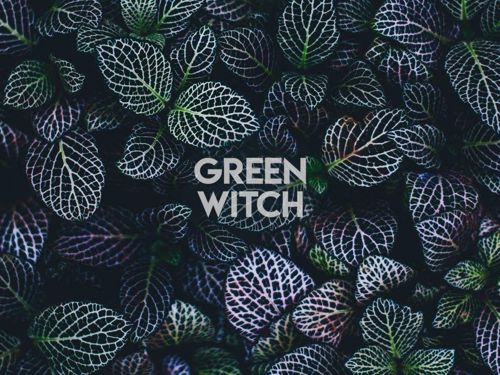 Green Witch Aesthetic Wallpapers Top Free Green Witch Aesthetic