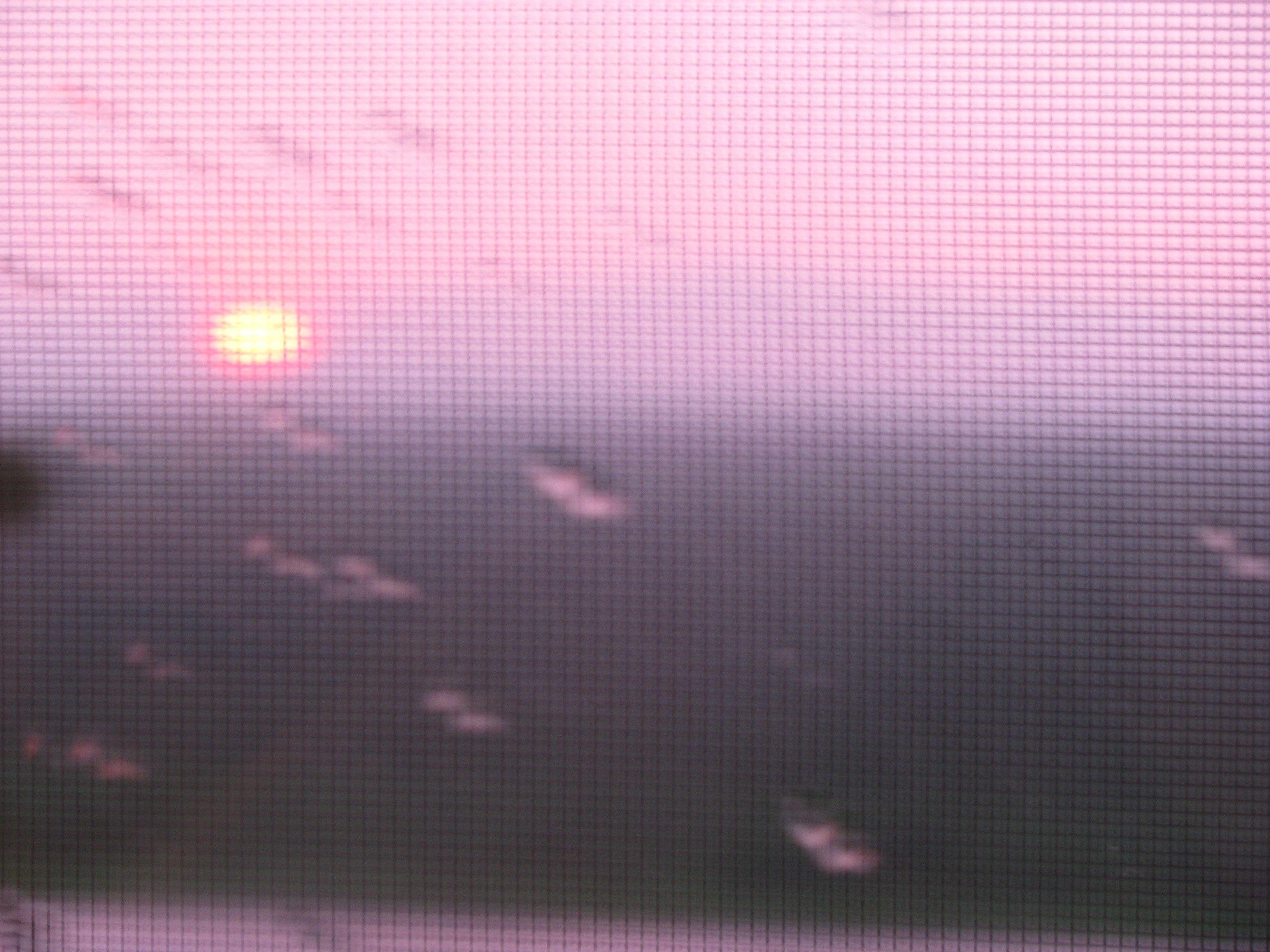 Pink Rain Wallpapers Top Free Pink Rain Backgrounds WallpaperAccess