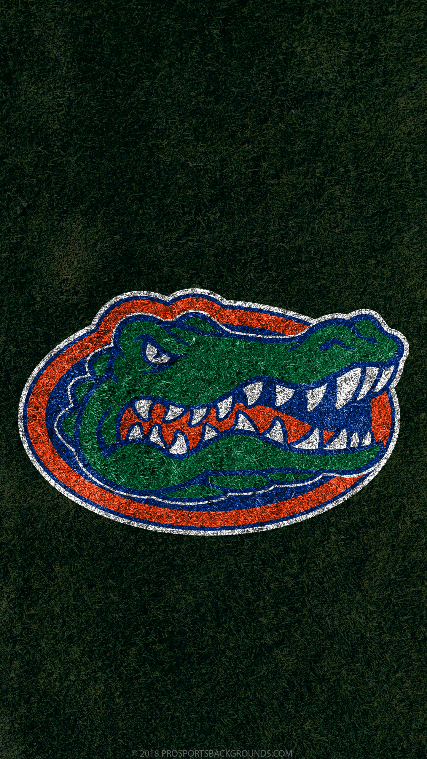 Florida iPhone Wallpapers Top Free Florida iPhone