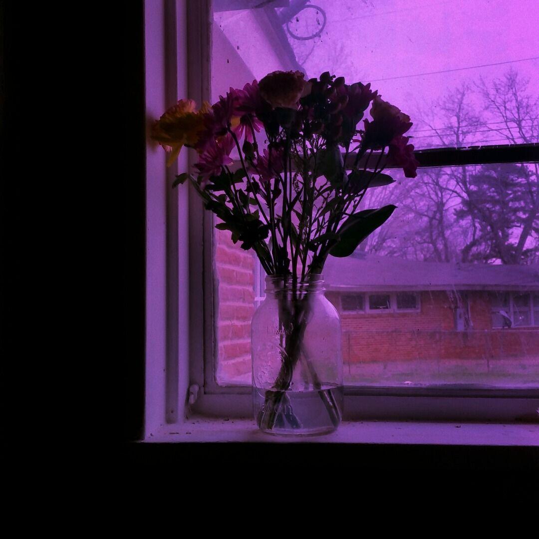 Lilac Aesthetic Wallpapers Top Free Lilac Aesthetic Backgrounds