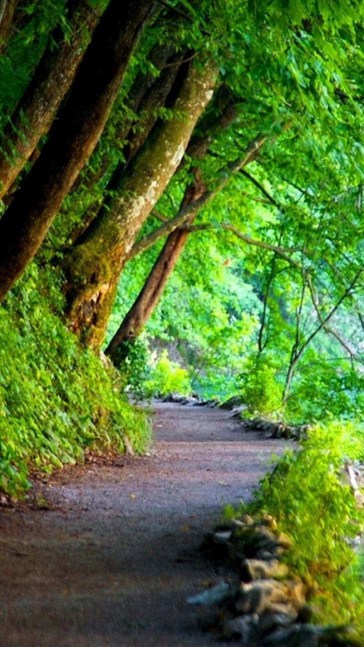 Nature Android HD Wallpapers Top Free Nature Android HD Backgrounds