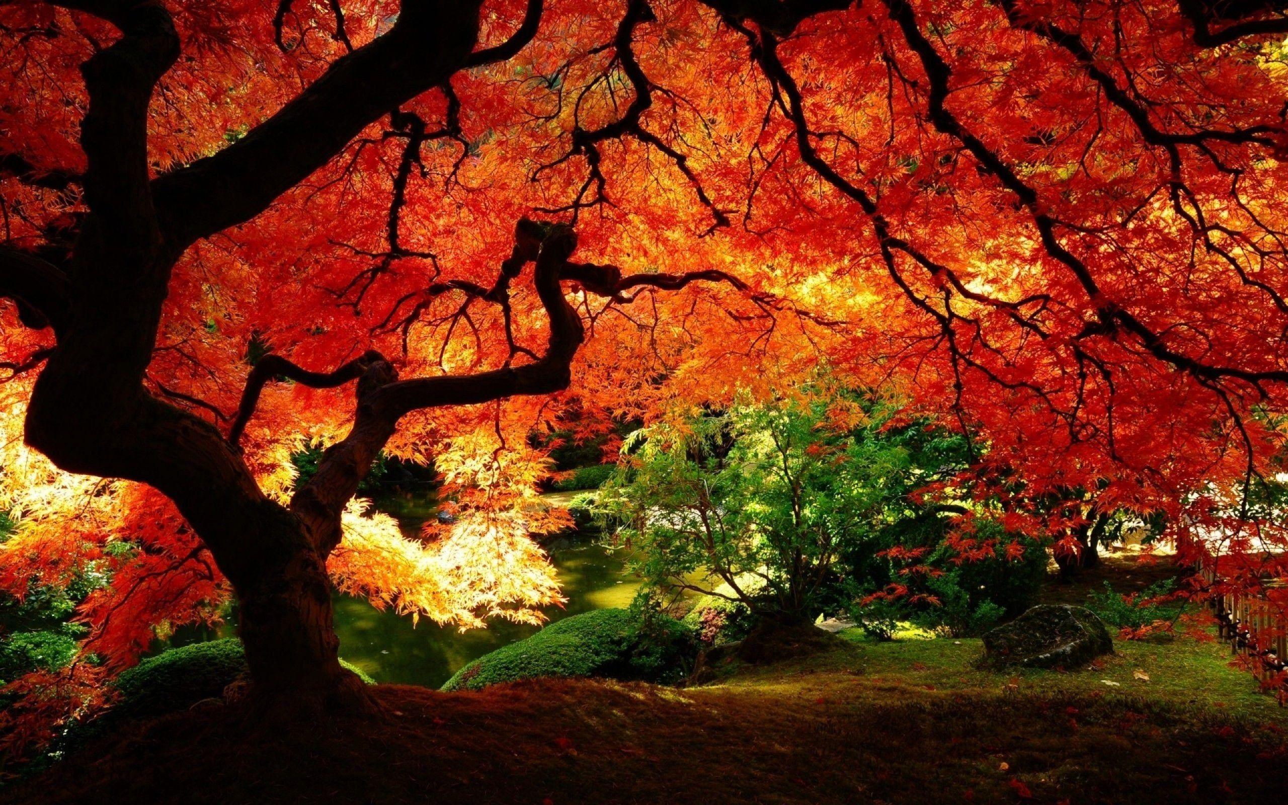 Pinterest Fall Desktop Wallpapers Top Free Pinterest Fall Desktop