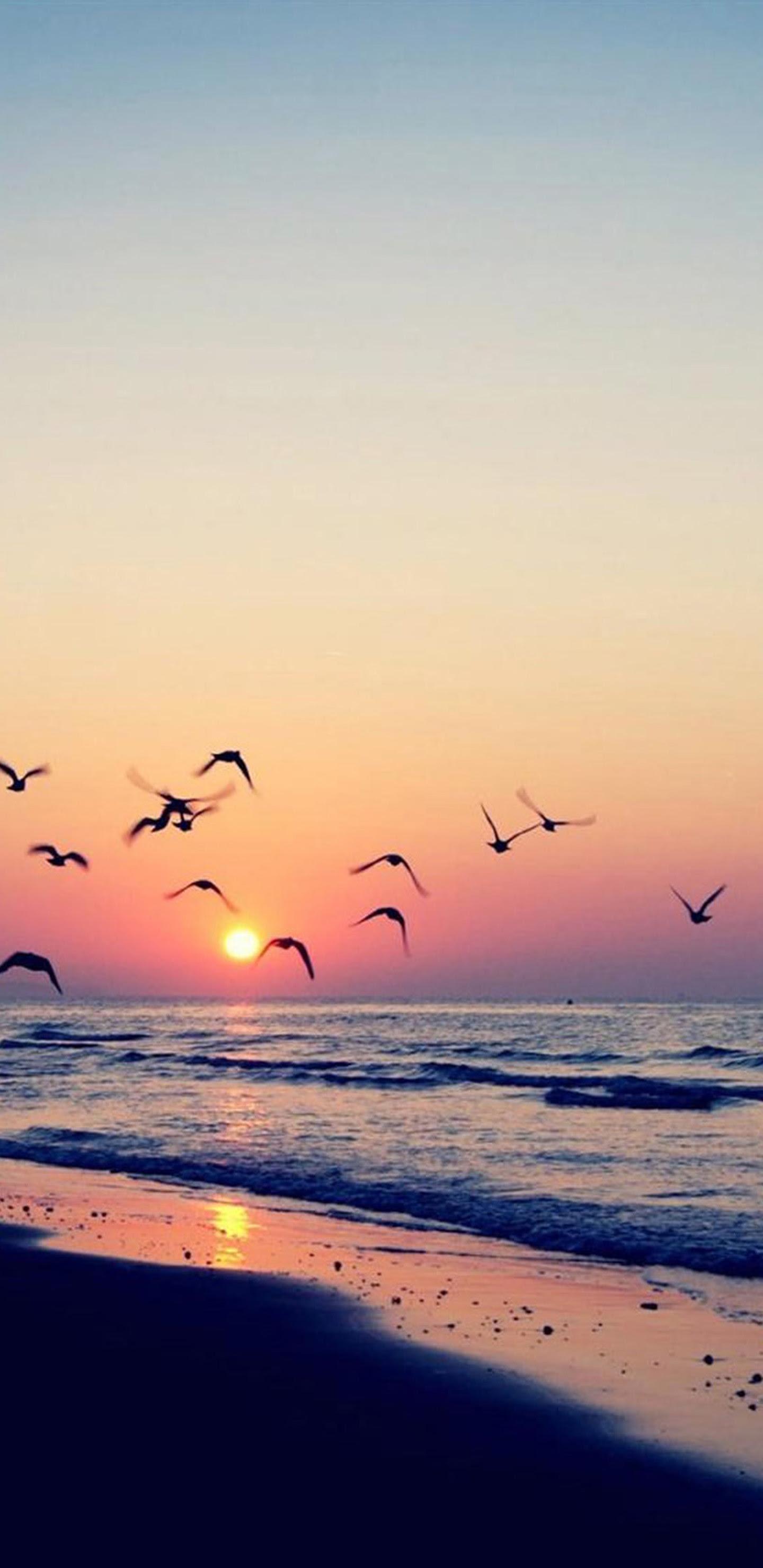 Beach Sunrise iPhone Wallpapers Top Free Beach Sunrise iPhone