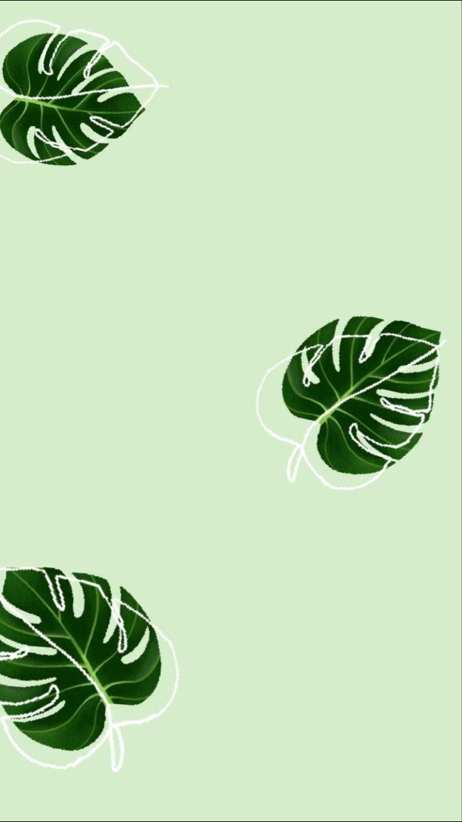 Green Minimalist Aesthetic Wallpapers Top Free Green Minimalist